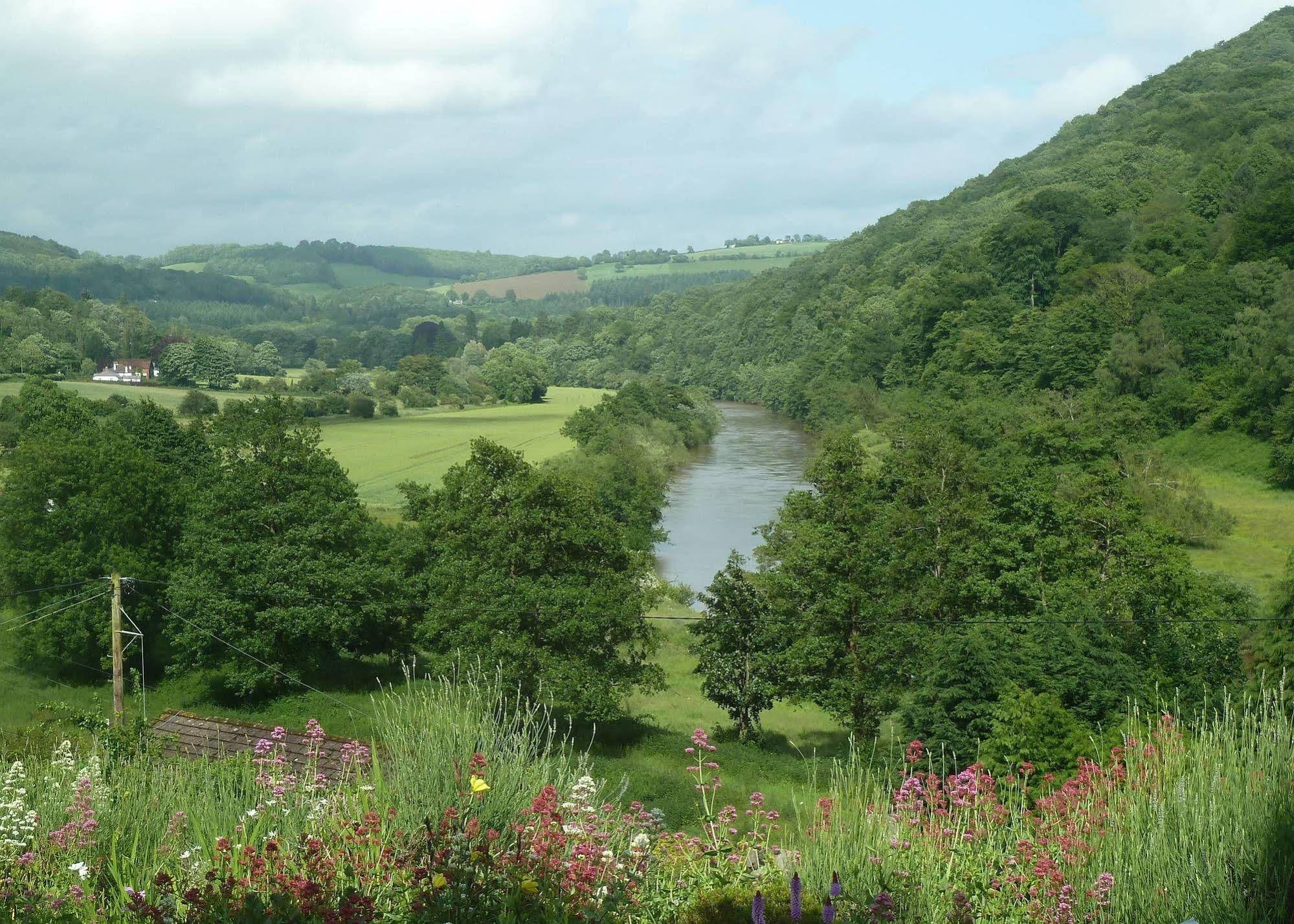 Ty Bryn Bed & Breakfast