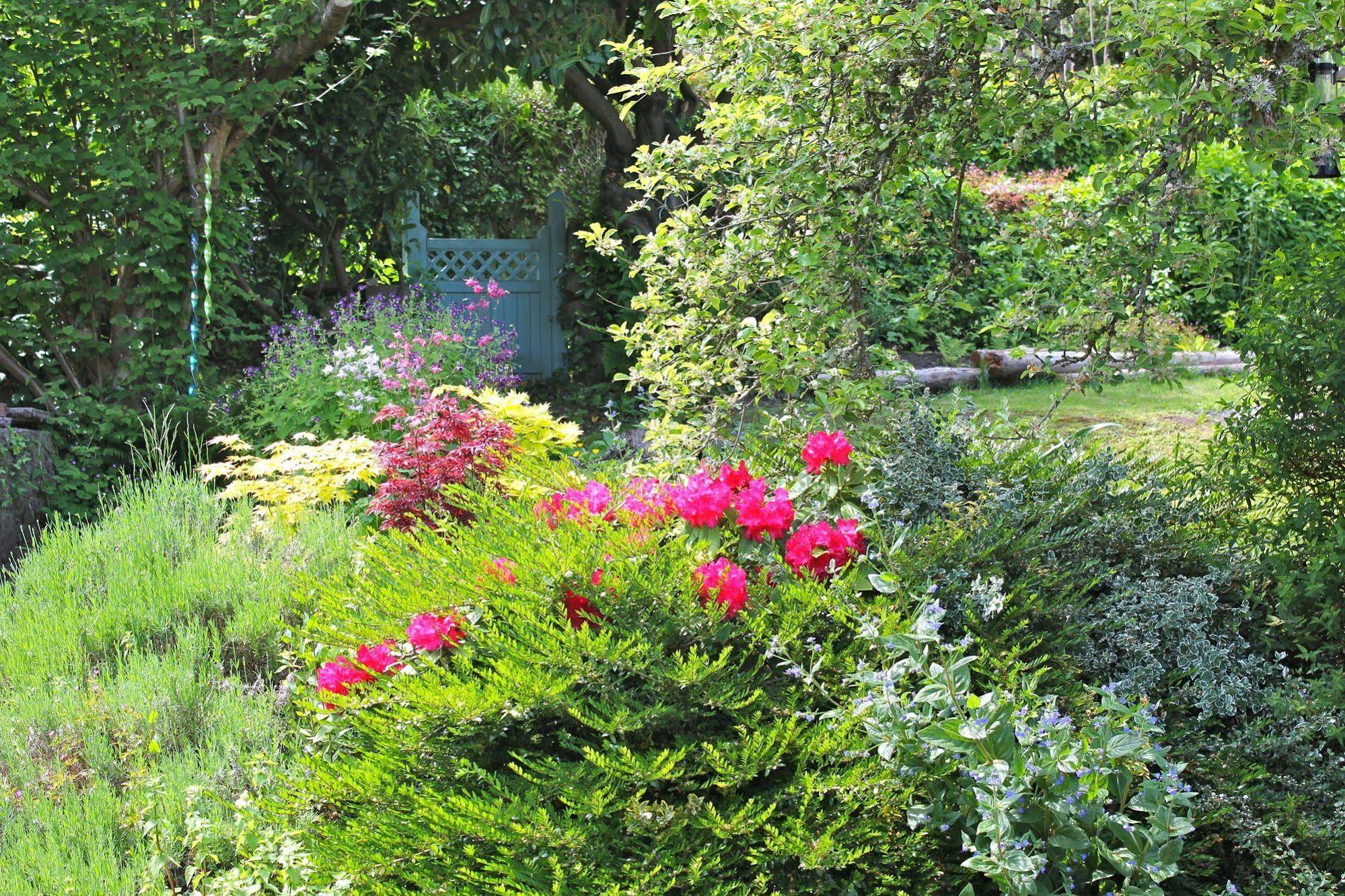 Ty Bryn Bed & Breakfast