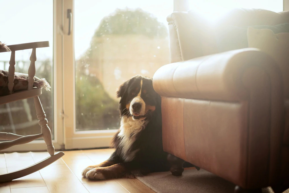 Luxury Cottage Eco Tub Logfire
