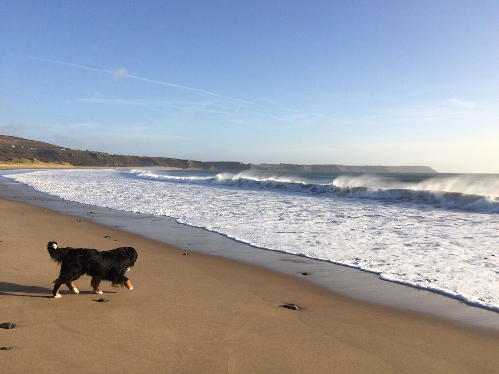 Luxury Cottage Eco Tub Logfire