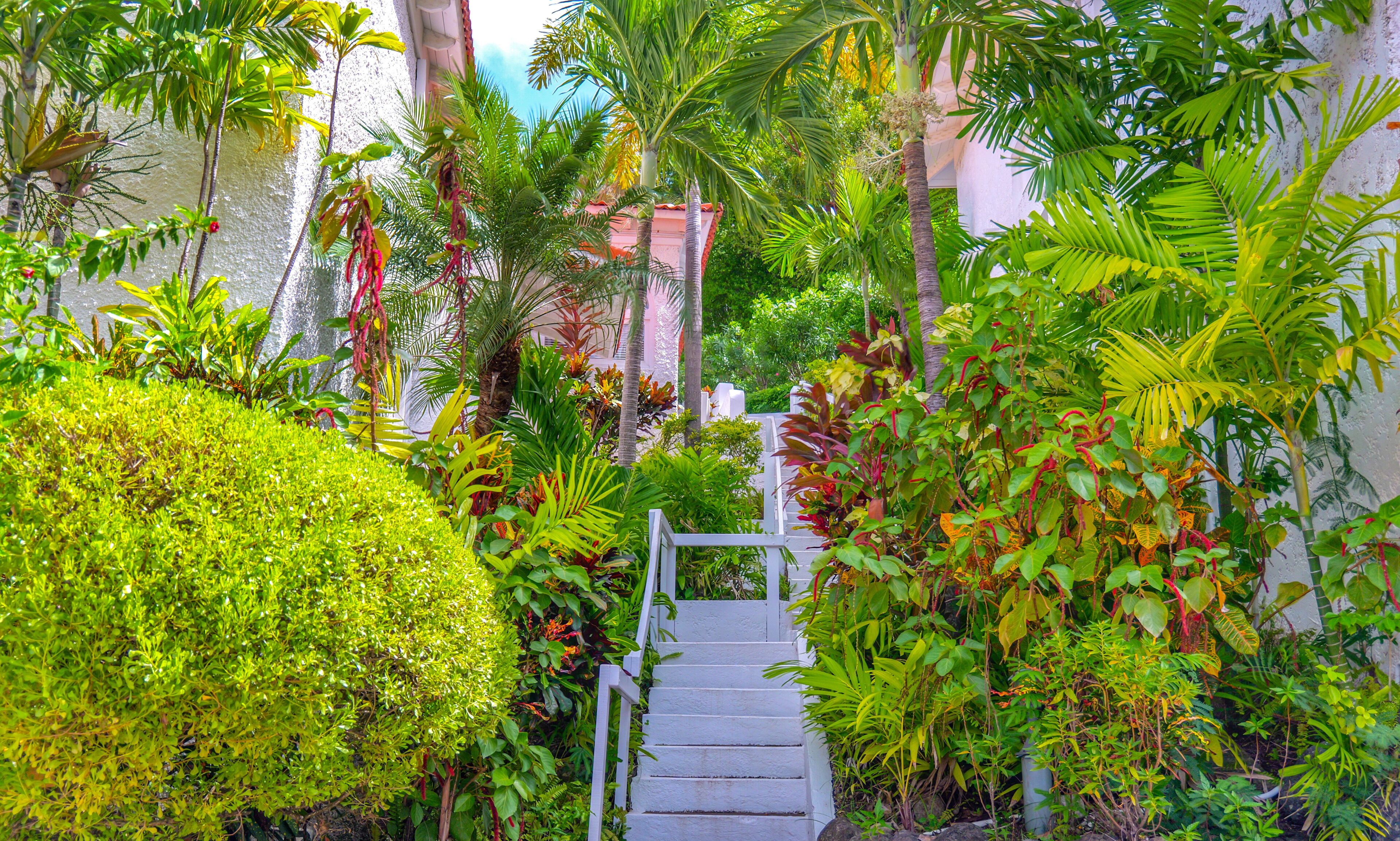 Mount Cinnamon Beach & Wellness Resort