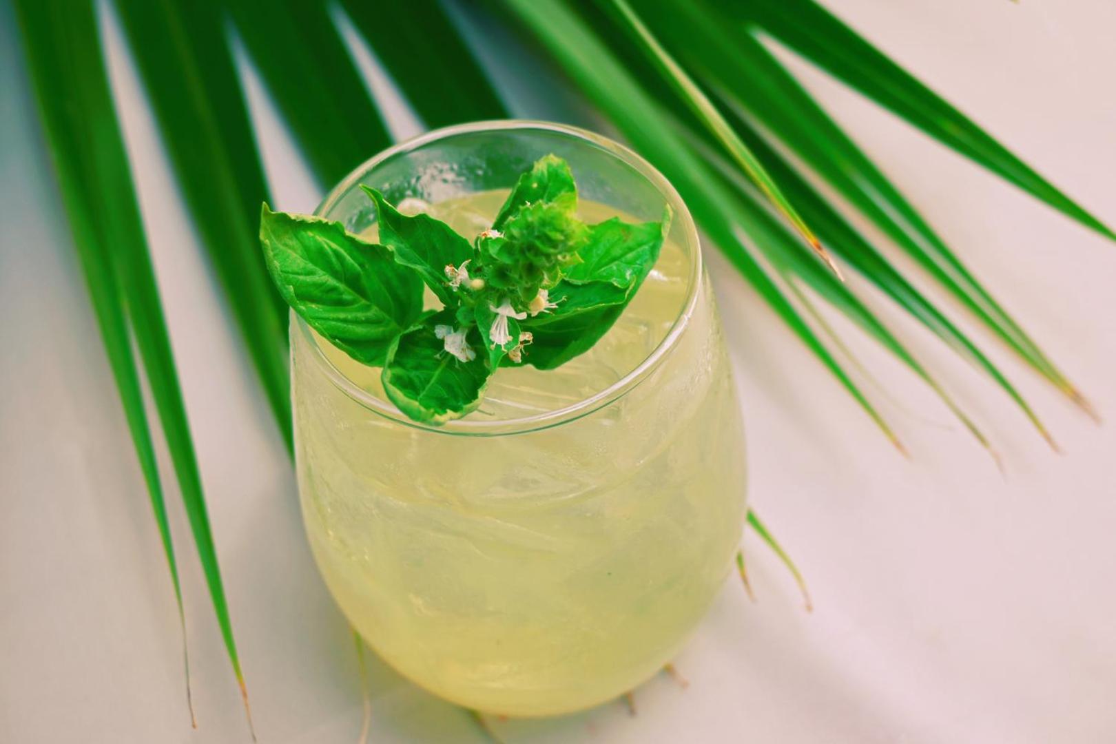 Mount Cinnamon Beach & Wellness Resort