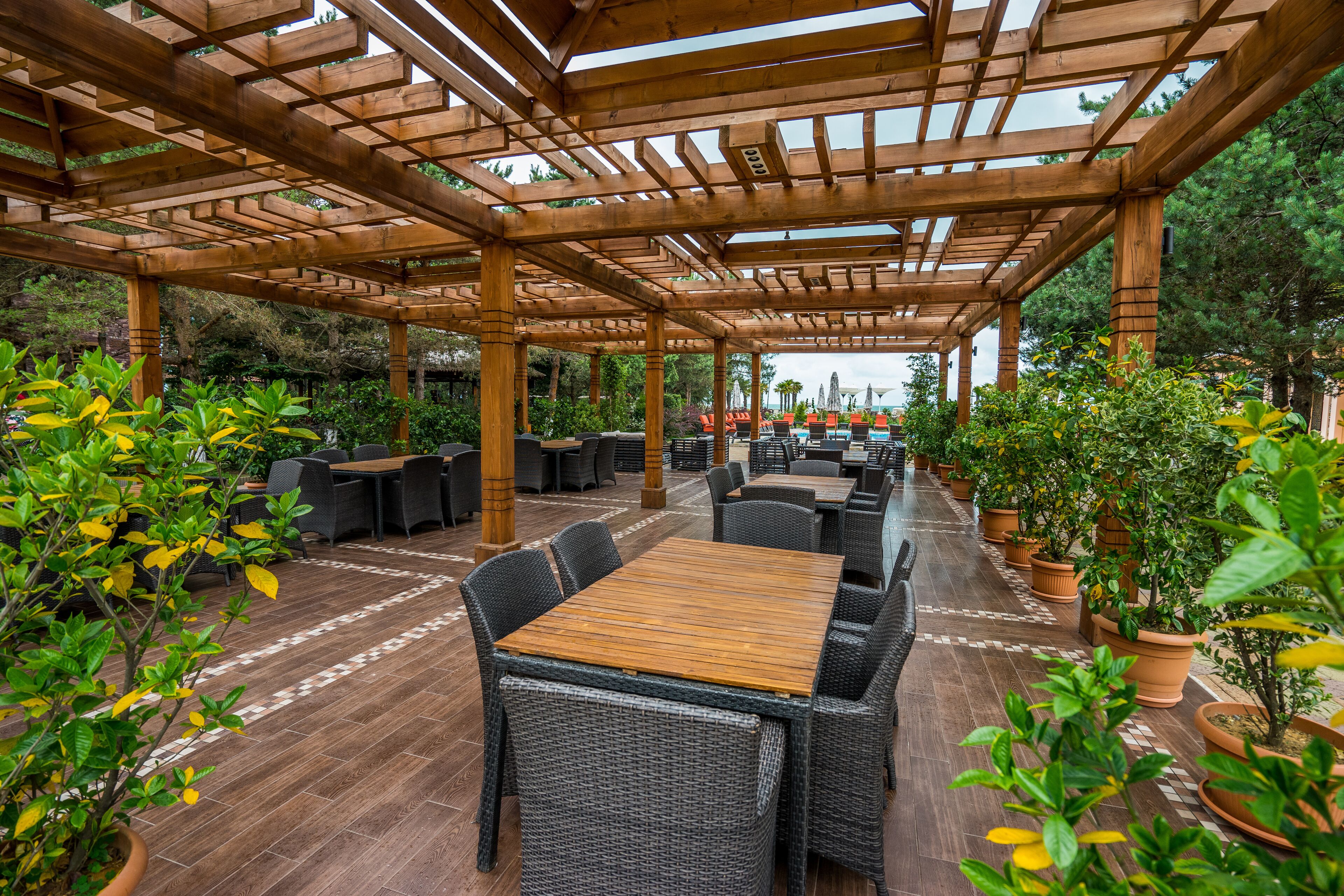 Dreamland Oasis Chakvi Hotel