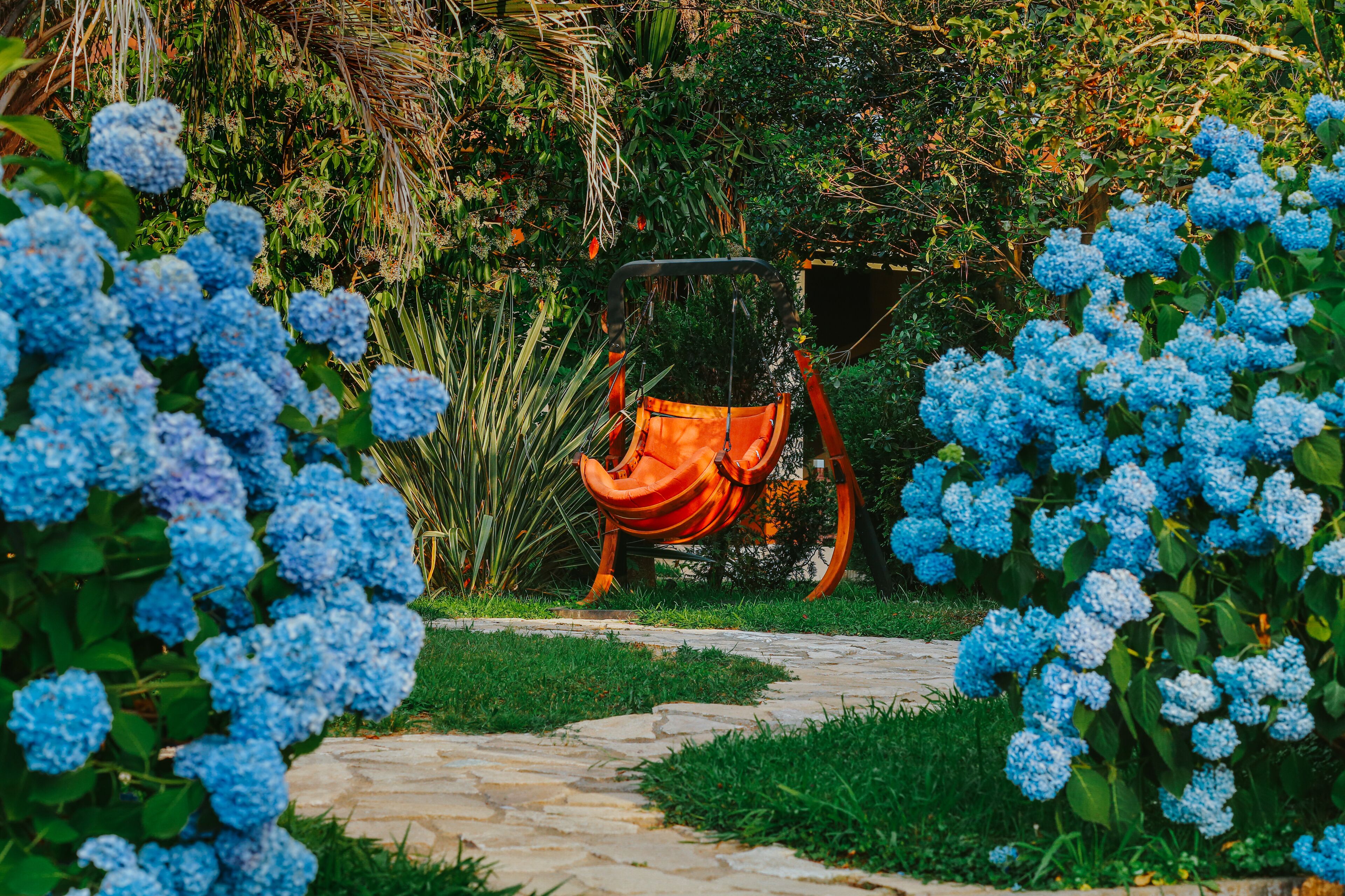 Dreamland Oasis Chakvi Hotel