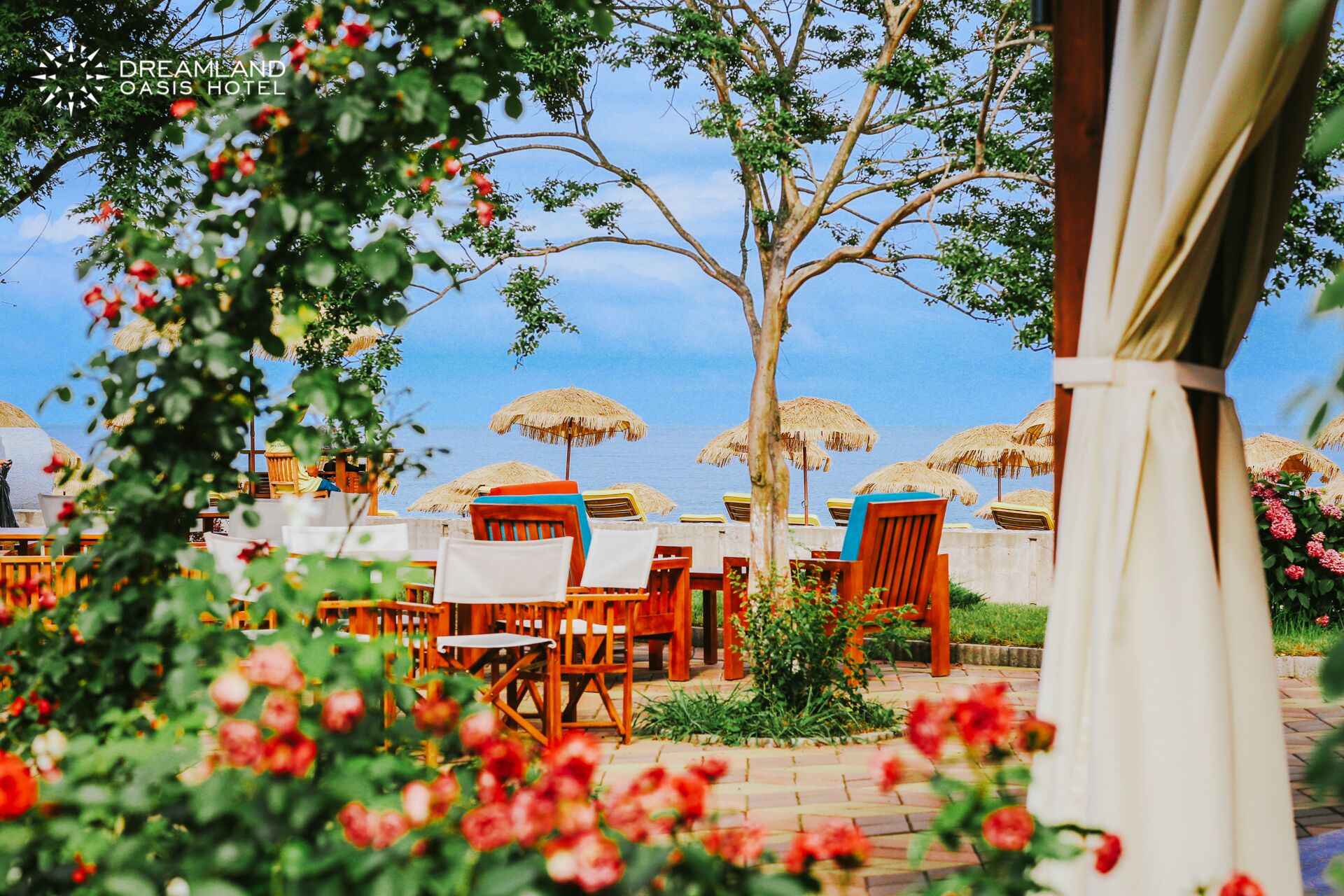 Dreamland Oasis Chakvi Hotel
