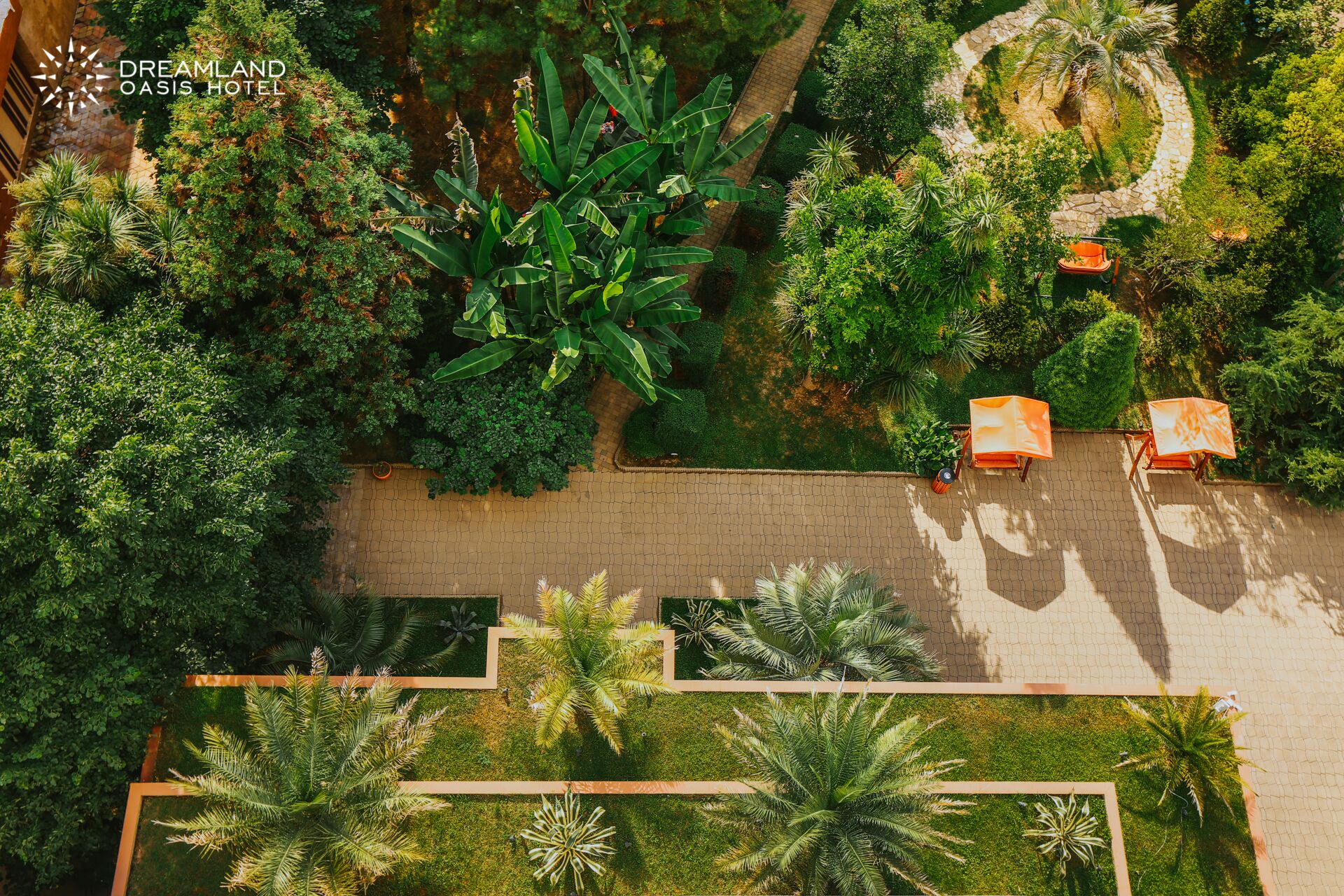 Dreamland Oasis Chakvi Hotel