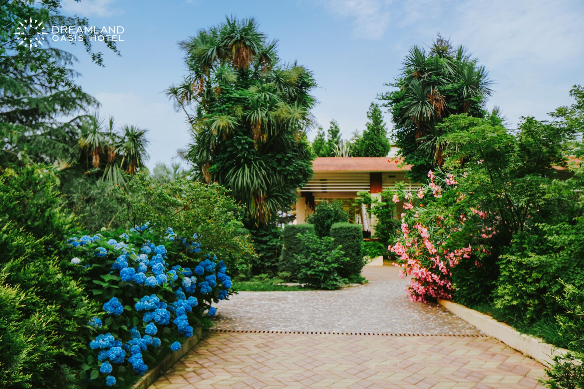 Dreamland Oasis Chakvi Hotel