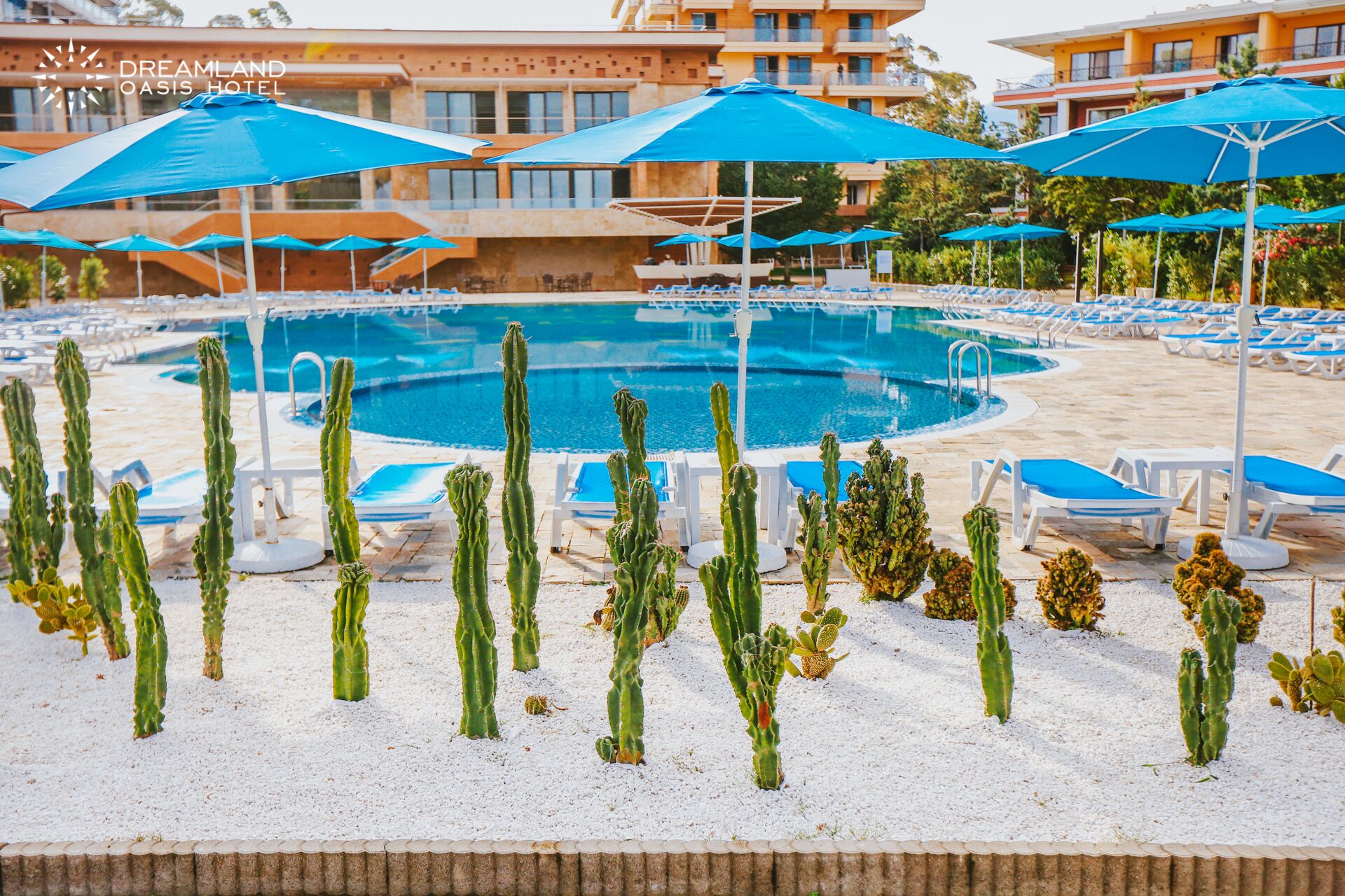 Dreamland Oasis Chakvi Hotel
