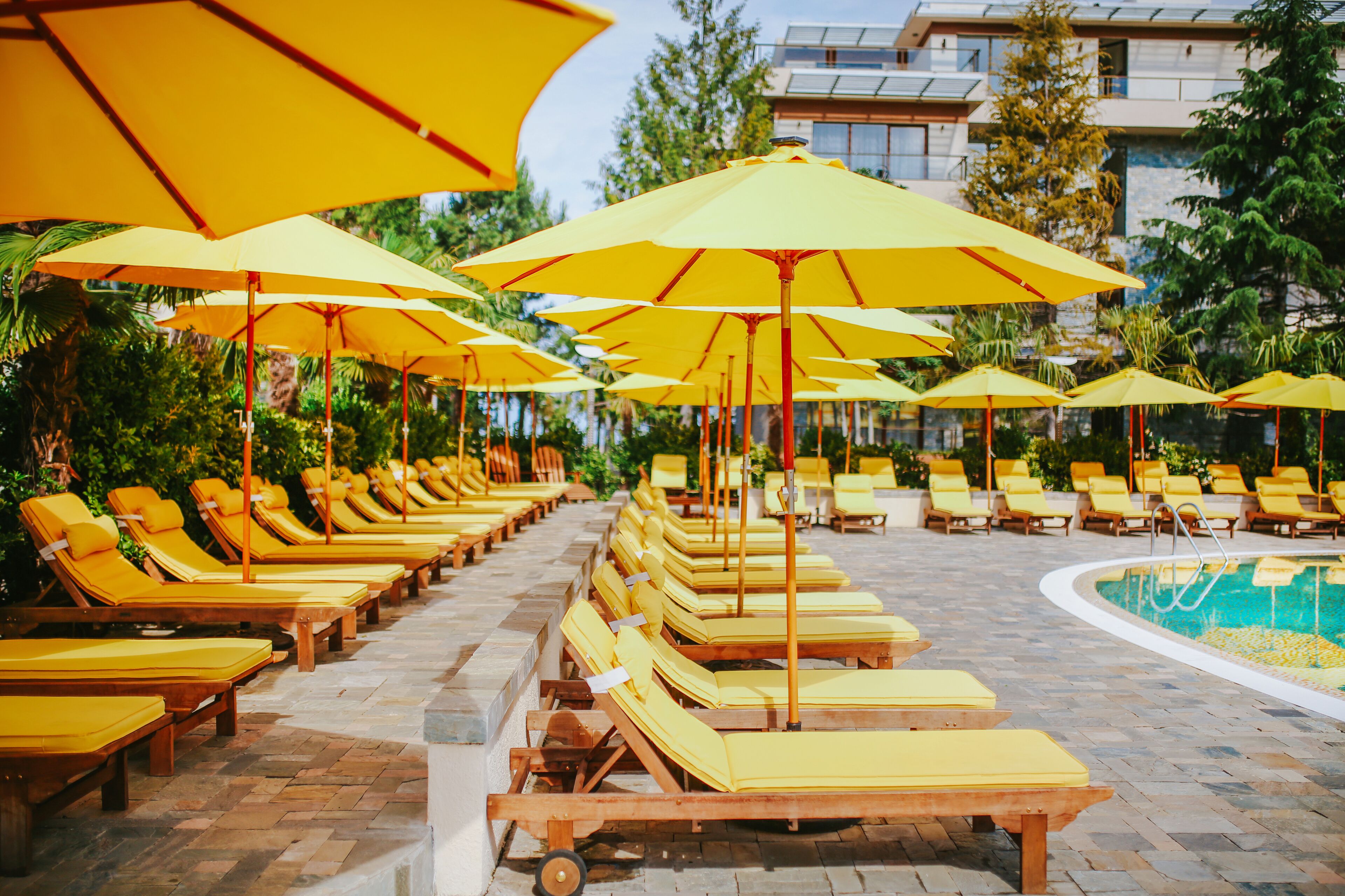 Dreamland Oasis Chakvi Hotel
