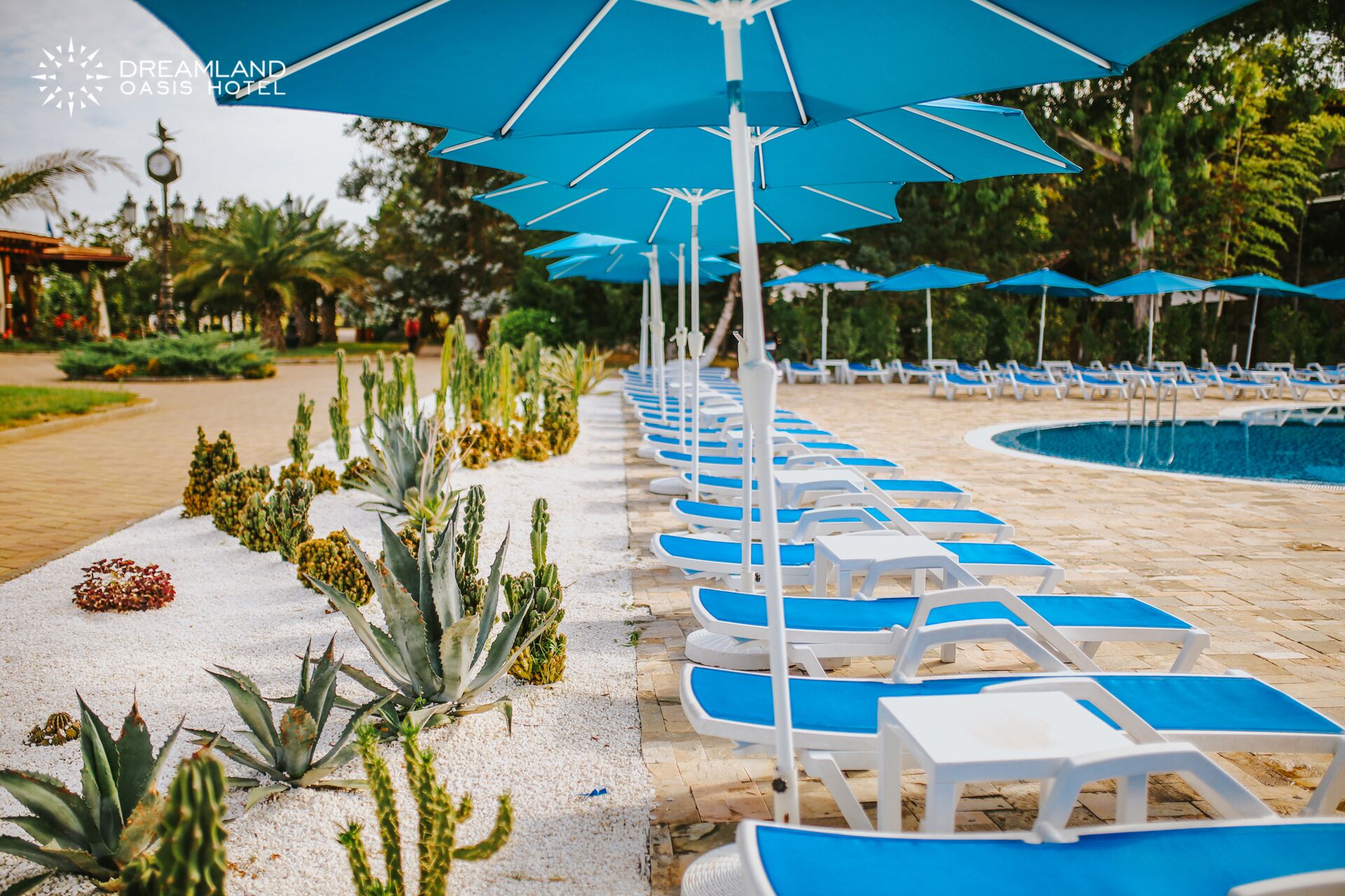 Dreamland Oasis Chakvi Hotel