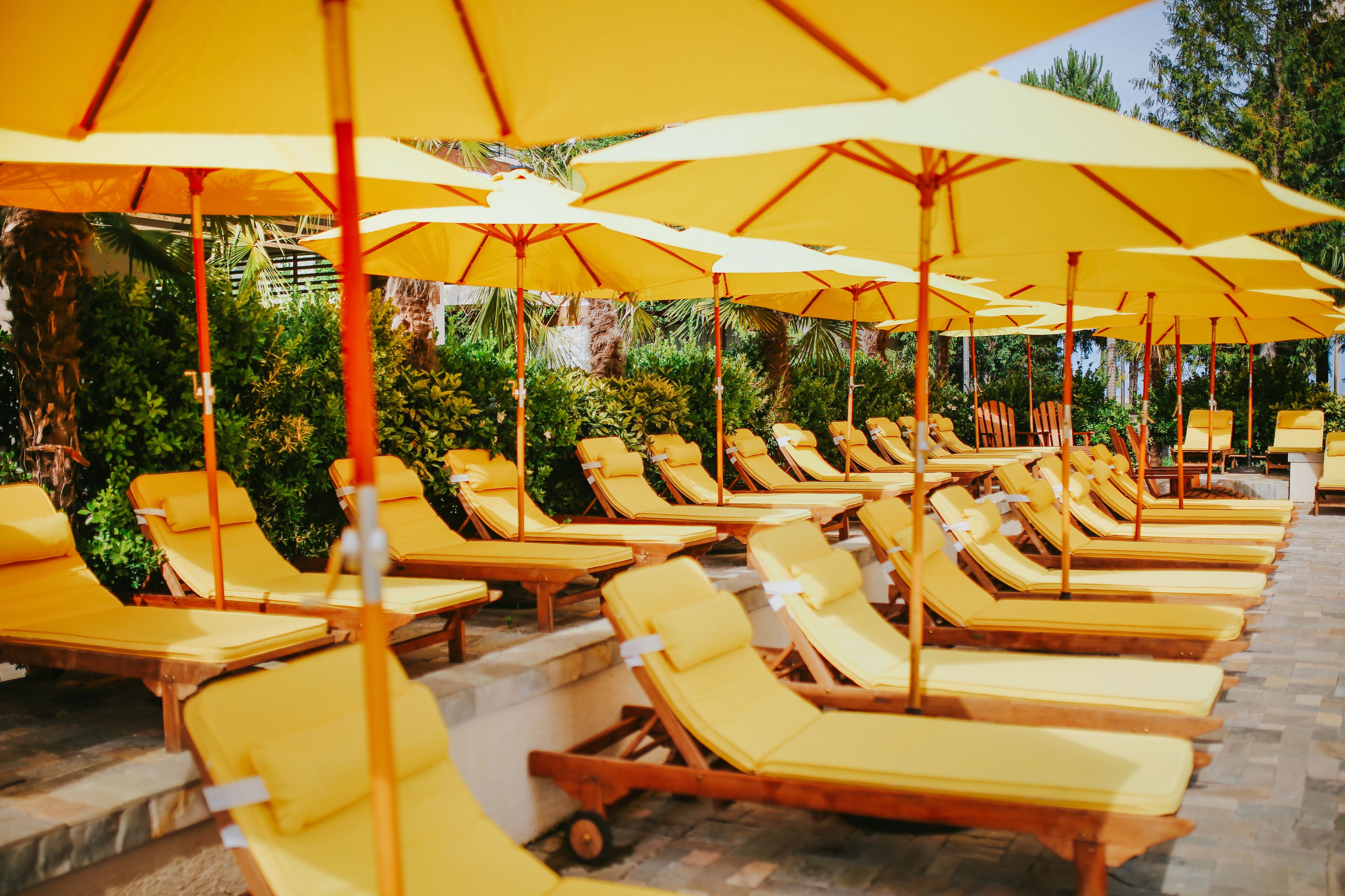 Dreamland Oasis Chakvi Hotel