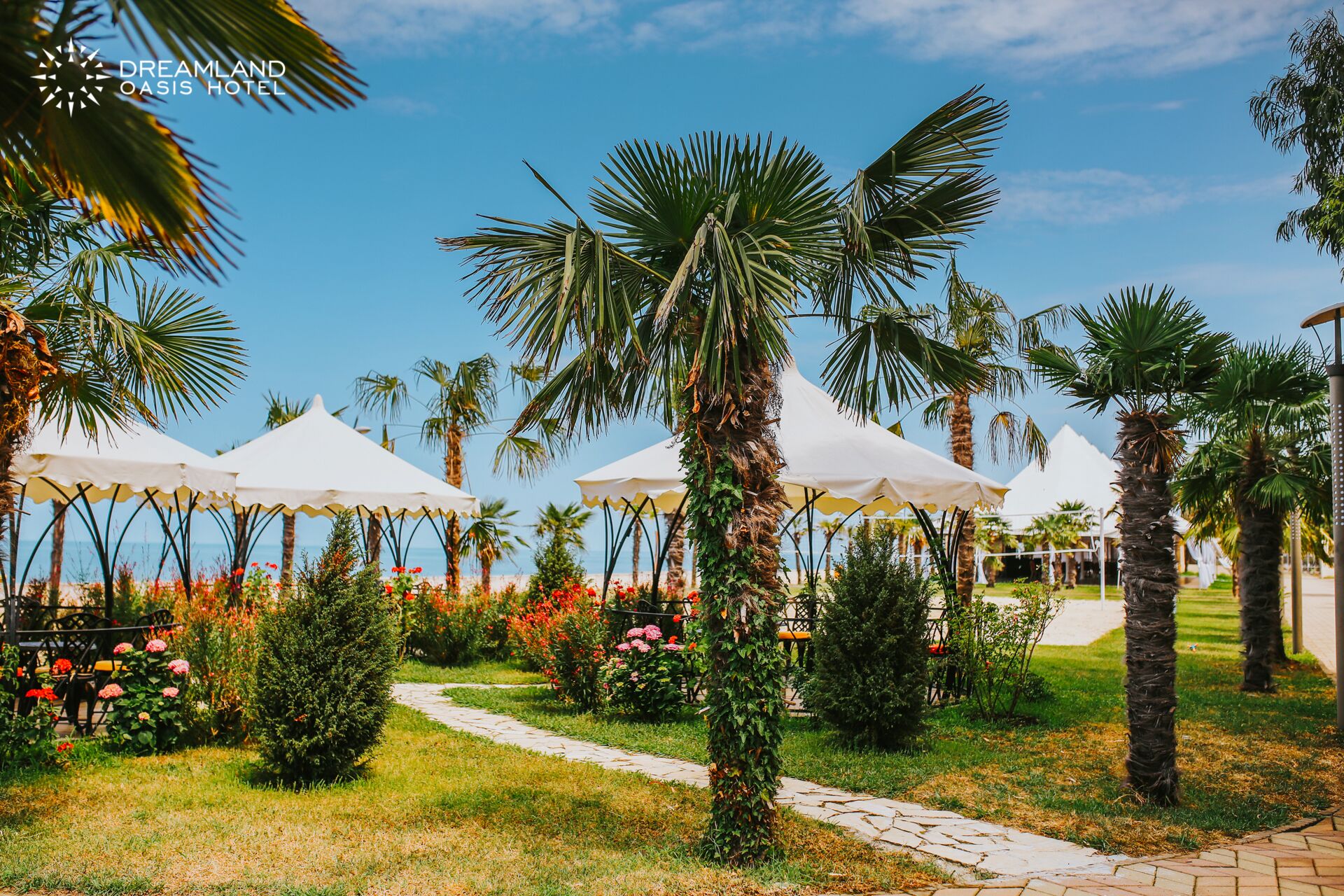 Dreamland Oasis Chakvi Hotel