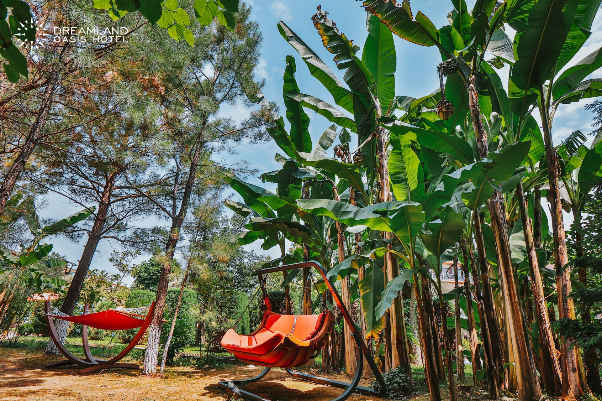 Dreamland Oasis Chakvi Hotel