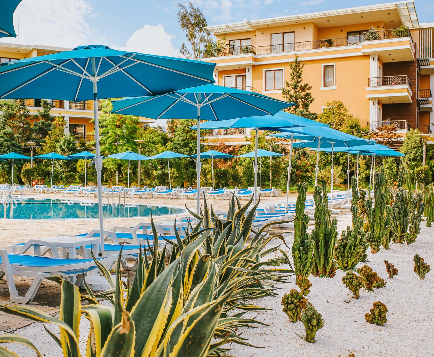 Dreamland Oasis Chakvi Hotel