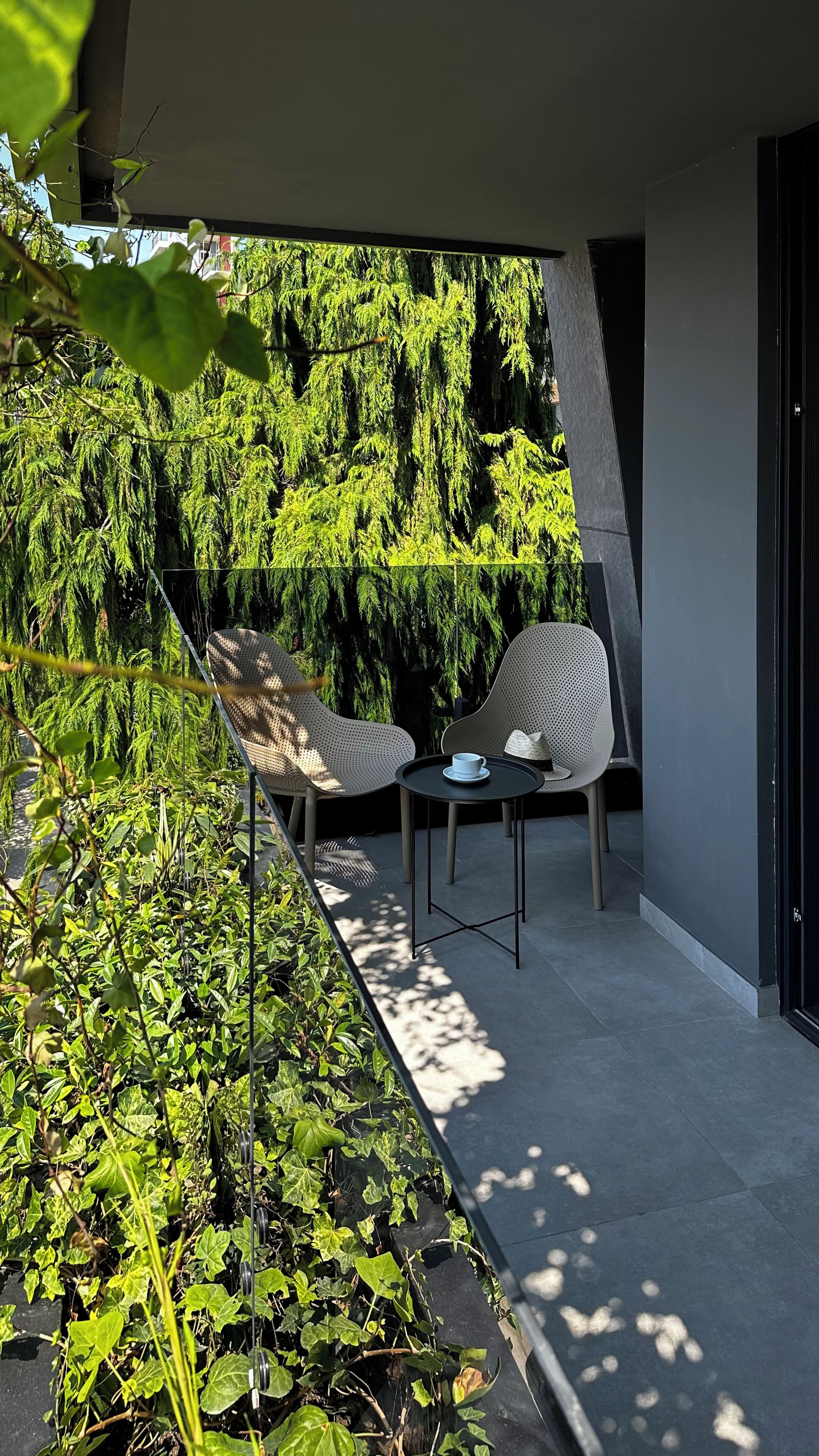 Bamboo Garden