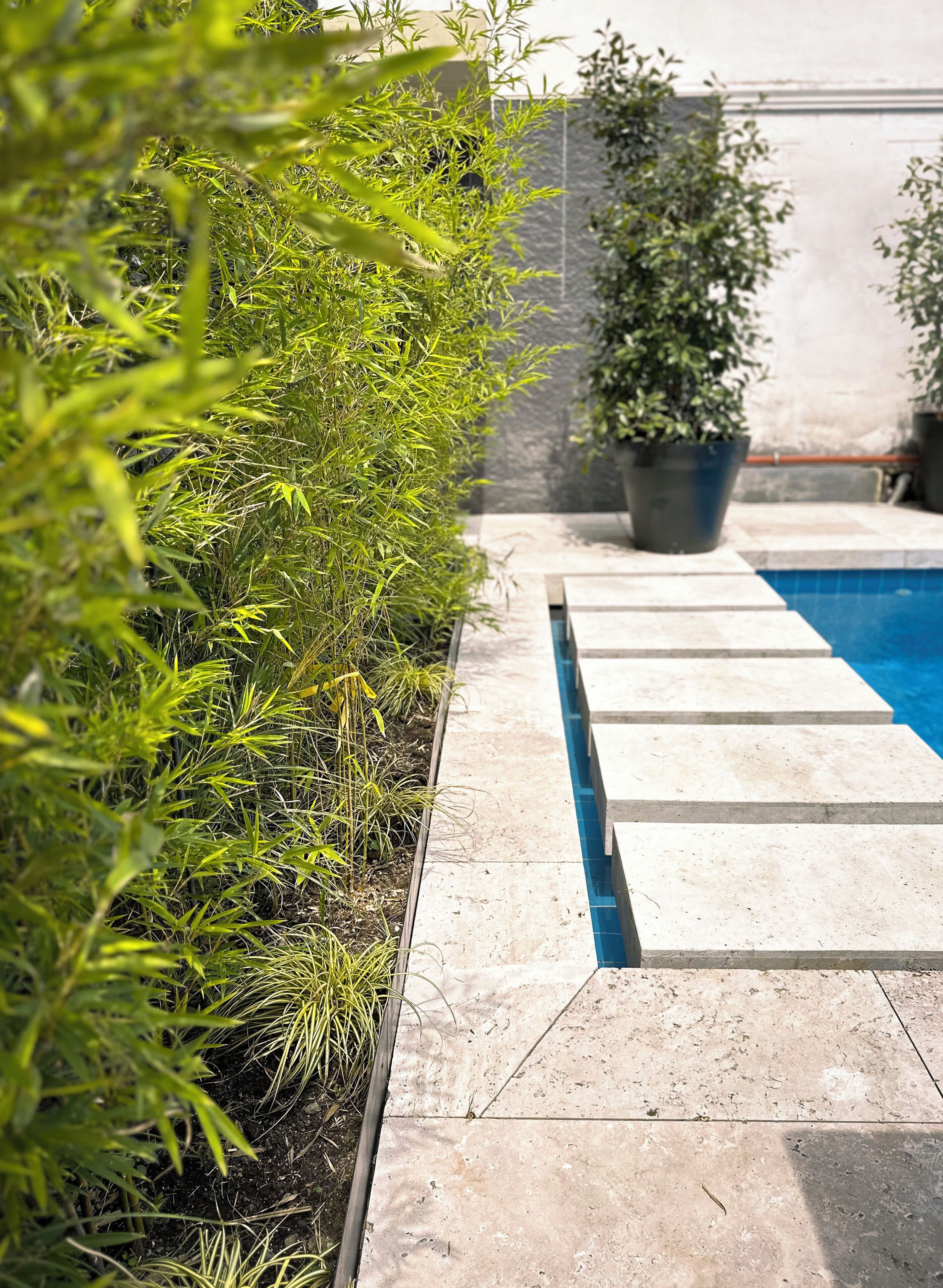 Bamboo Garden