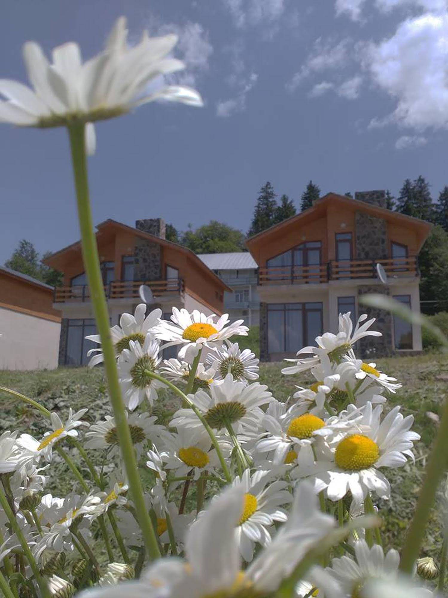 Villa Mtashi