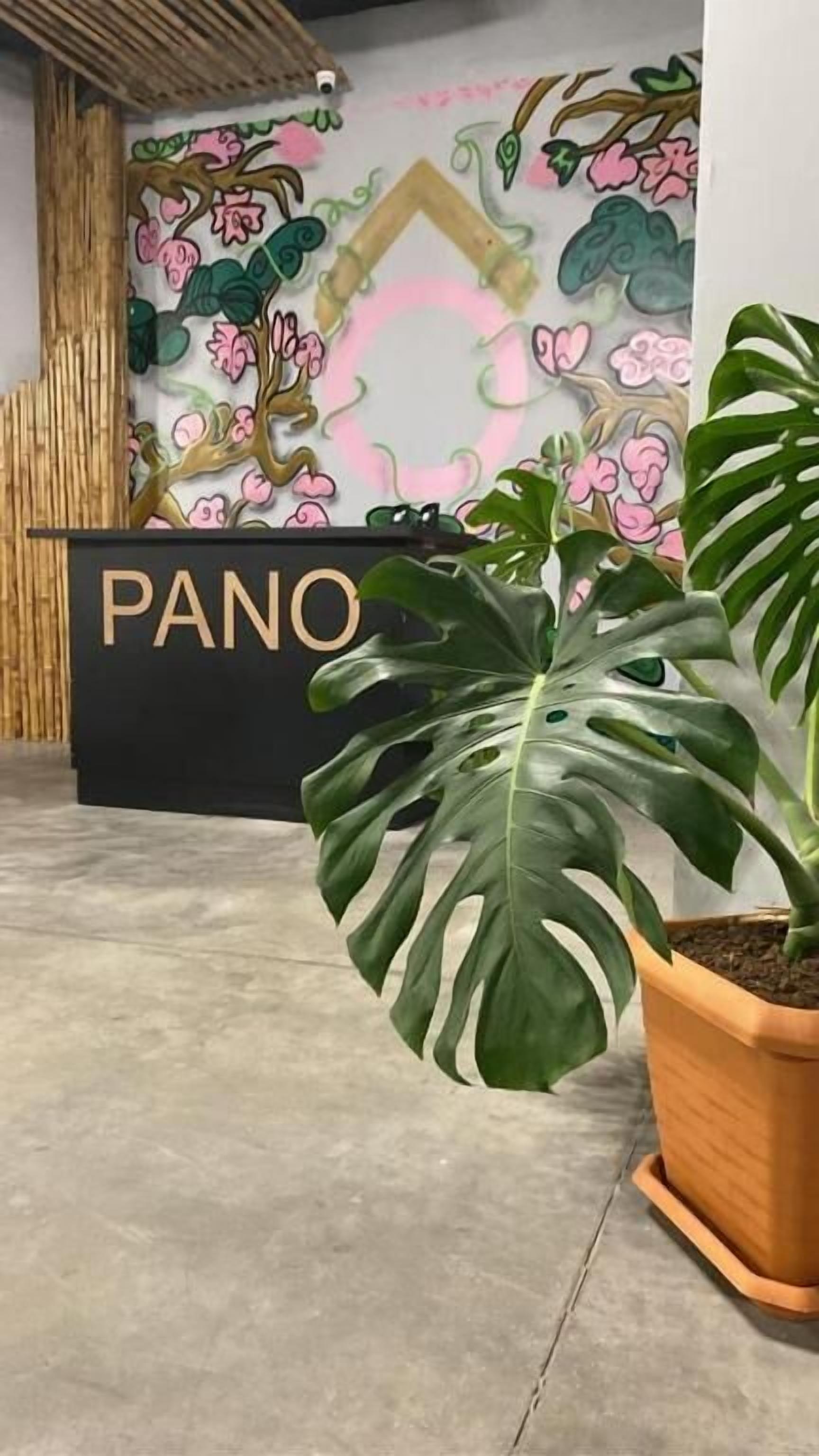 Pano Hotel