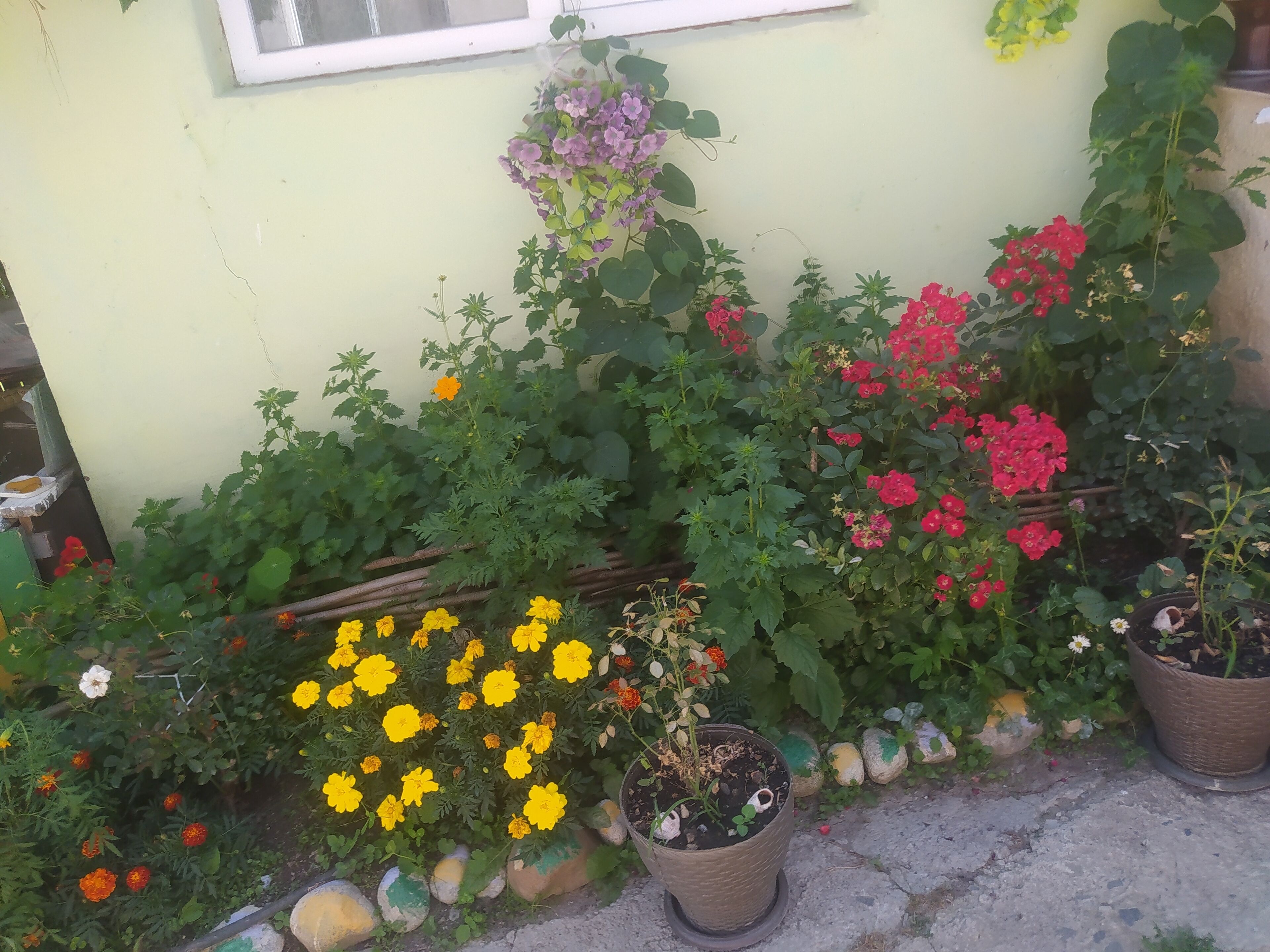 Guest House Latali