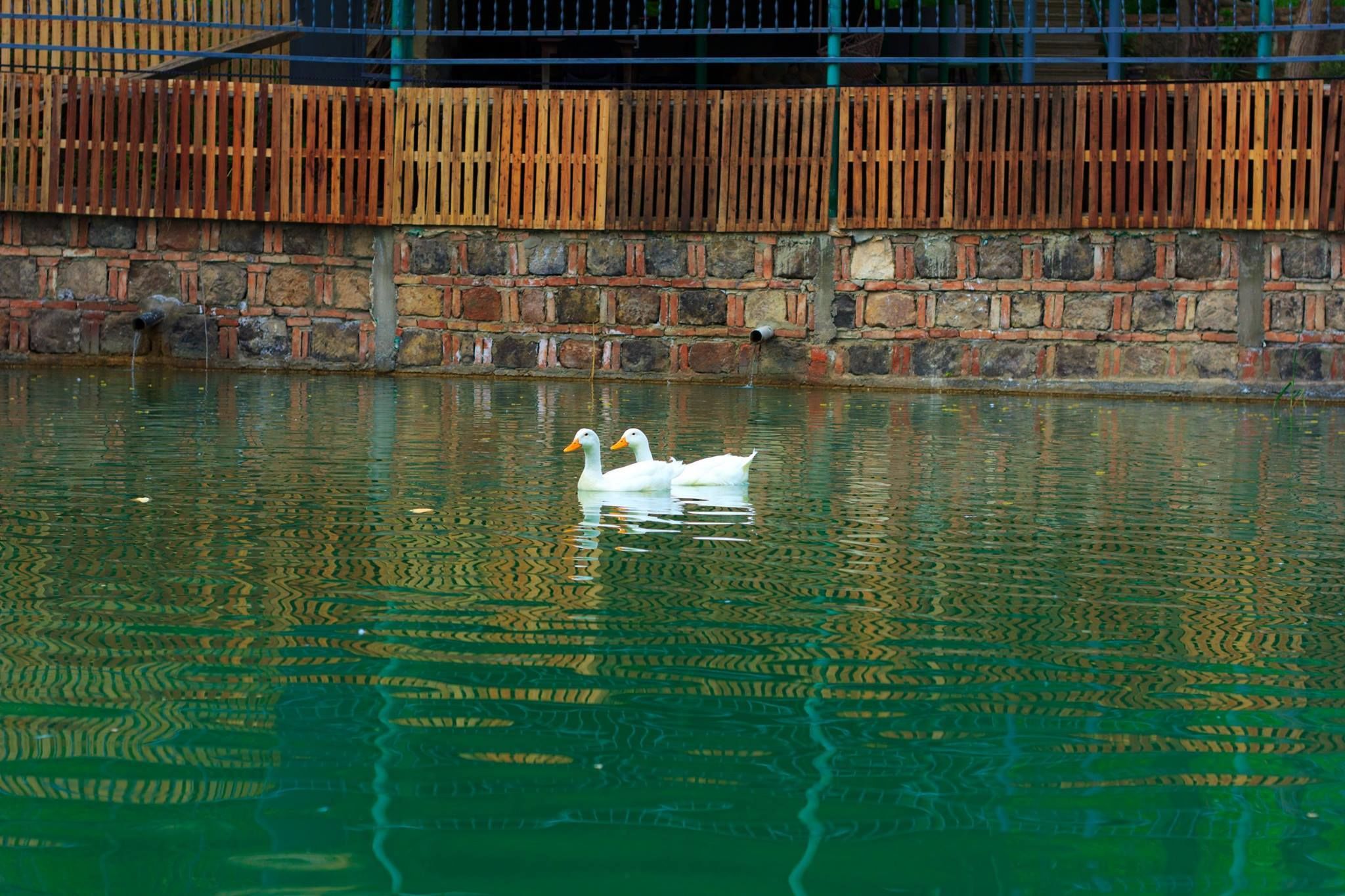 Amiran's Lake