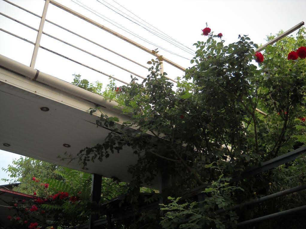 Cosmos Hostel