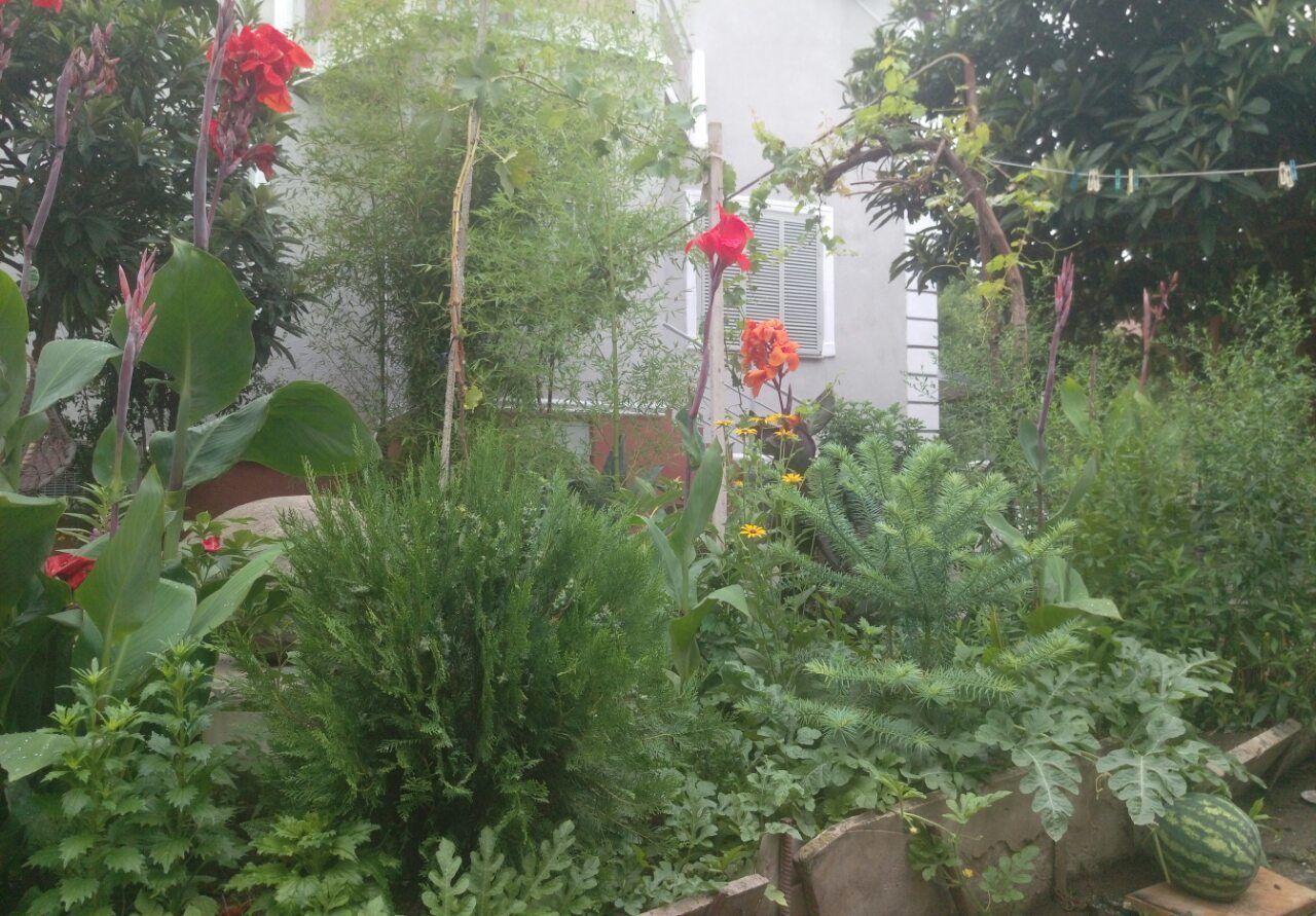 Green House Tbilisi