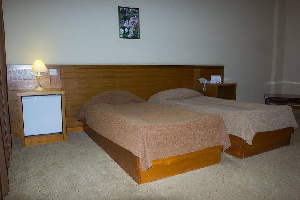 Kopala Tskneti Hotel