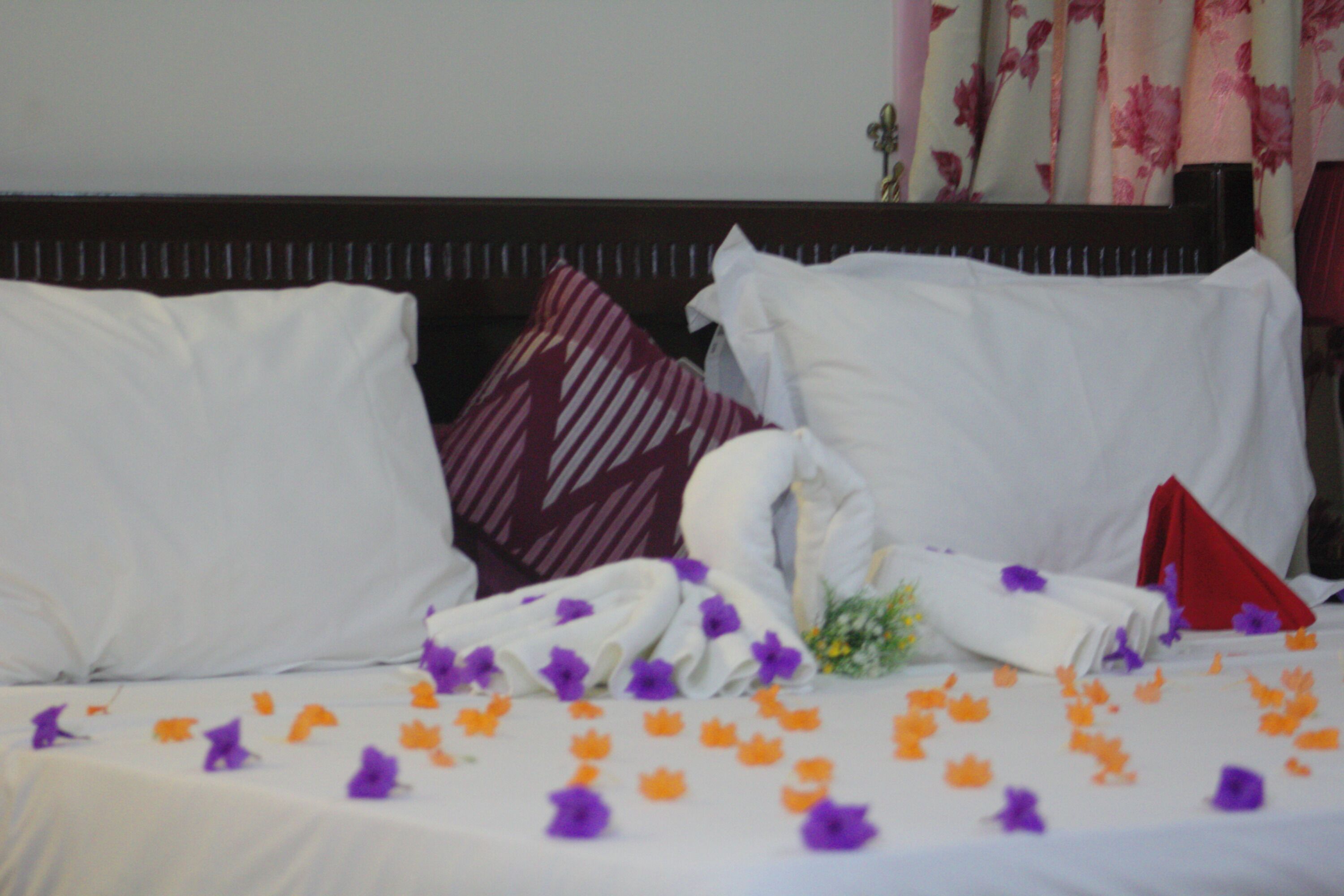 Gold Plus Hotel