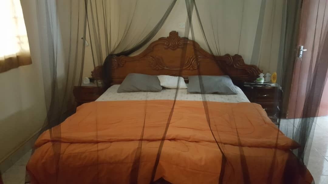 Bahamas Guest