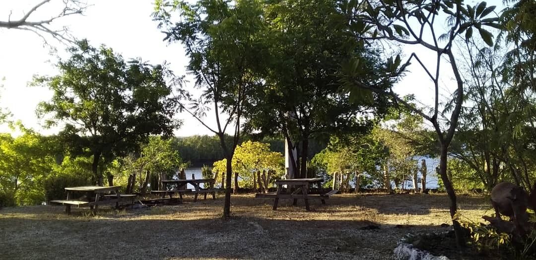 Mangrove Lodge