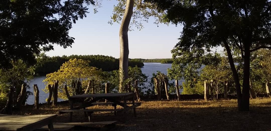 Mangrove Lodge