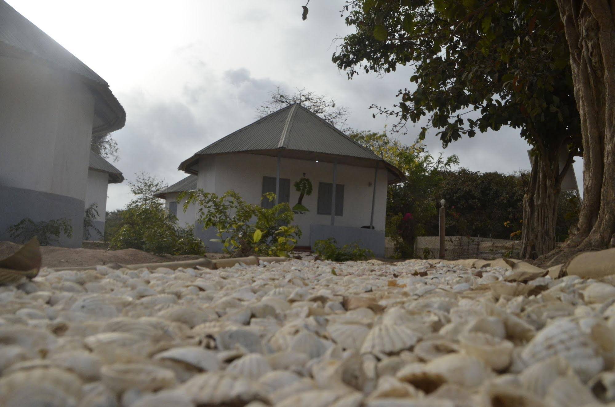 Tree C's Eco Resort & Beach Club