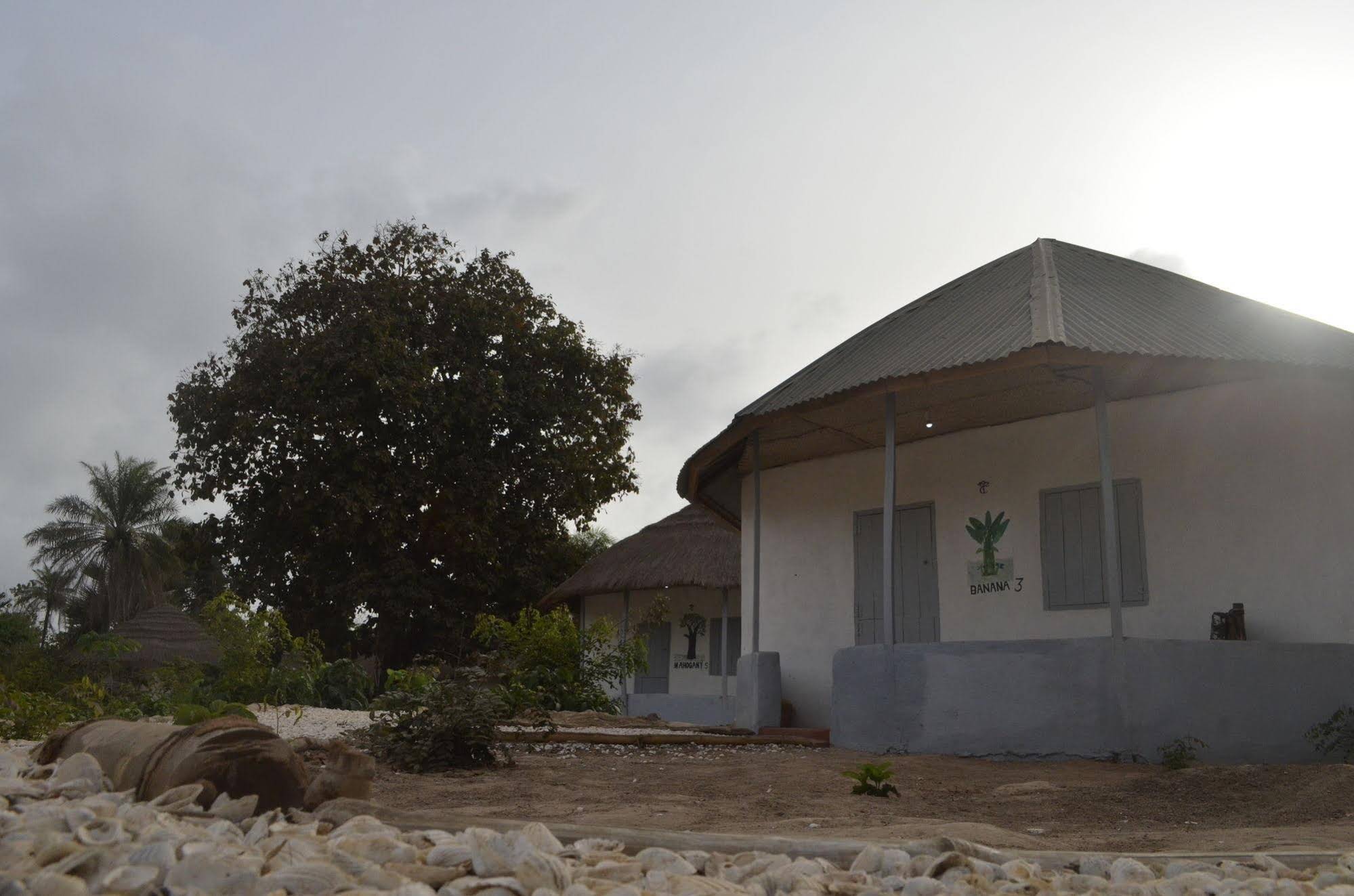 Tree C's Eco Resort & Beach Club