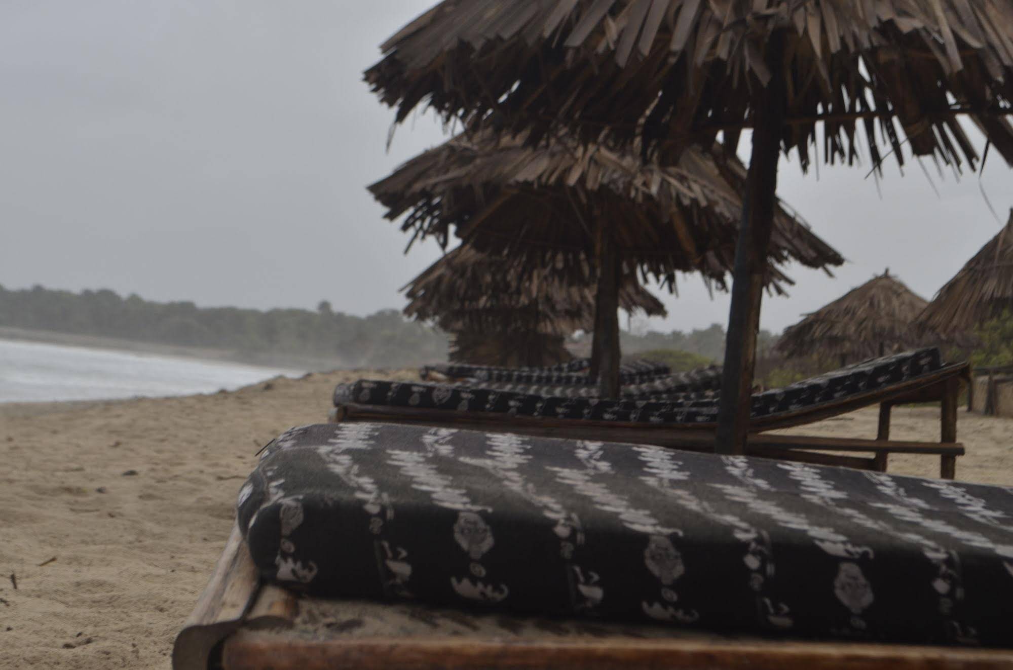 Tree C's Eco Resort & Beach Club
