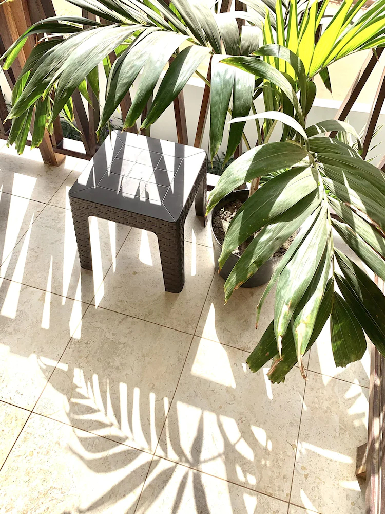Forest View Apartments