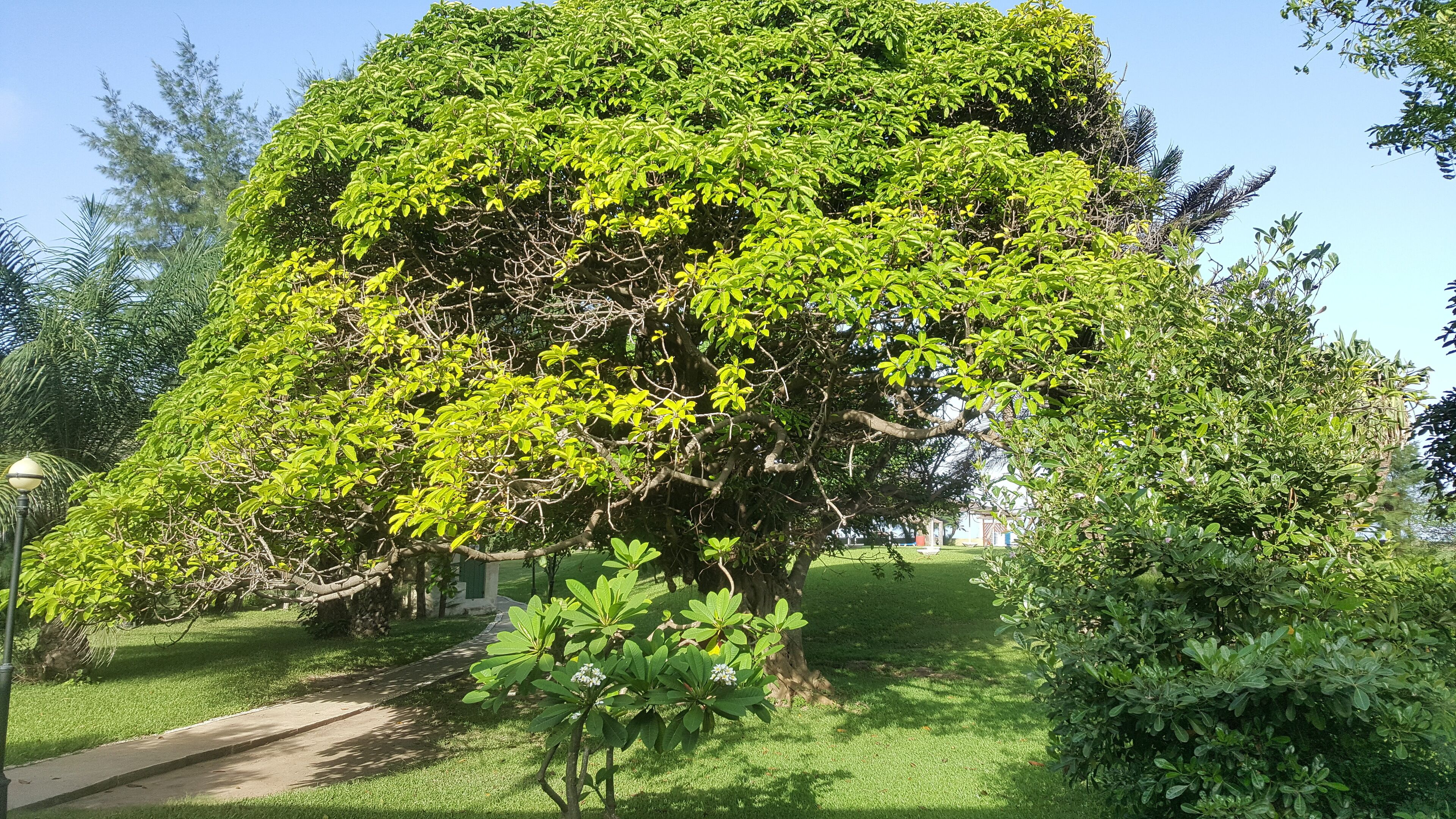 The Kairaba Beach Hotel