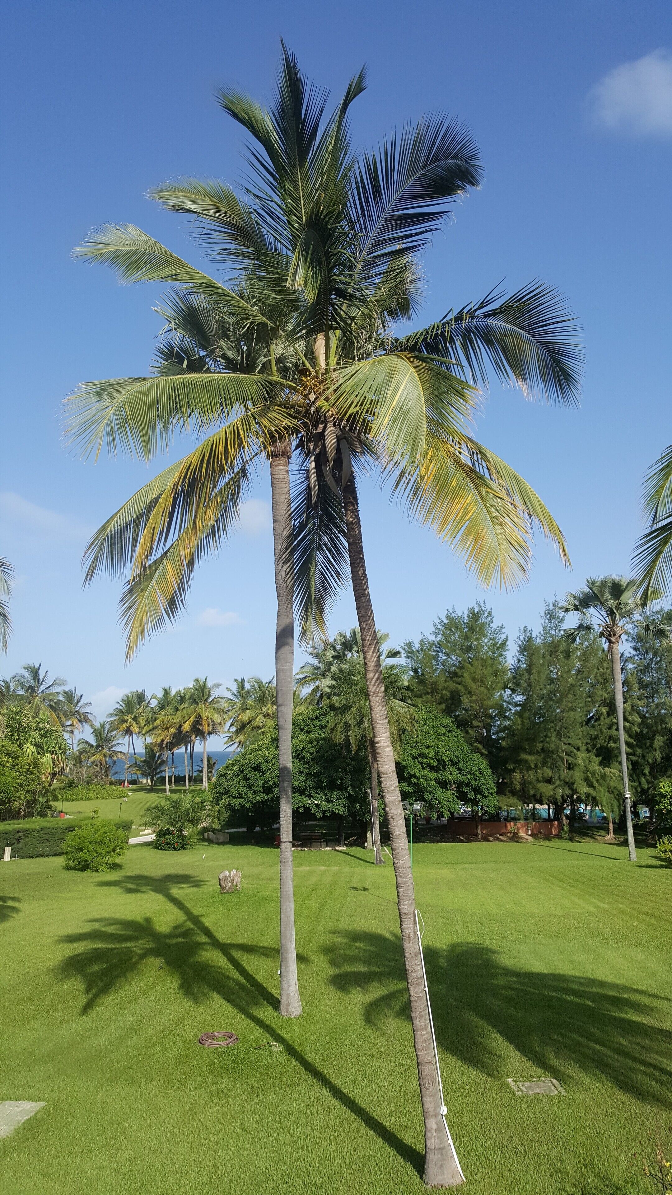 The Kairaba Beach Hotel