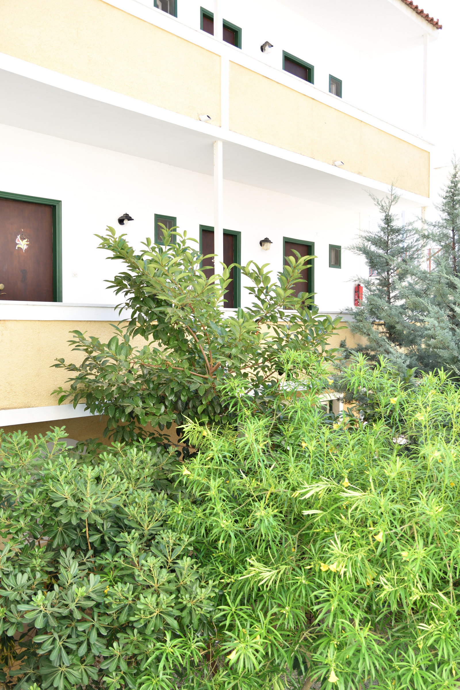 Hotel Aegina