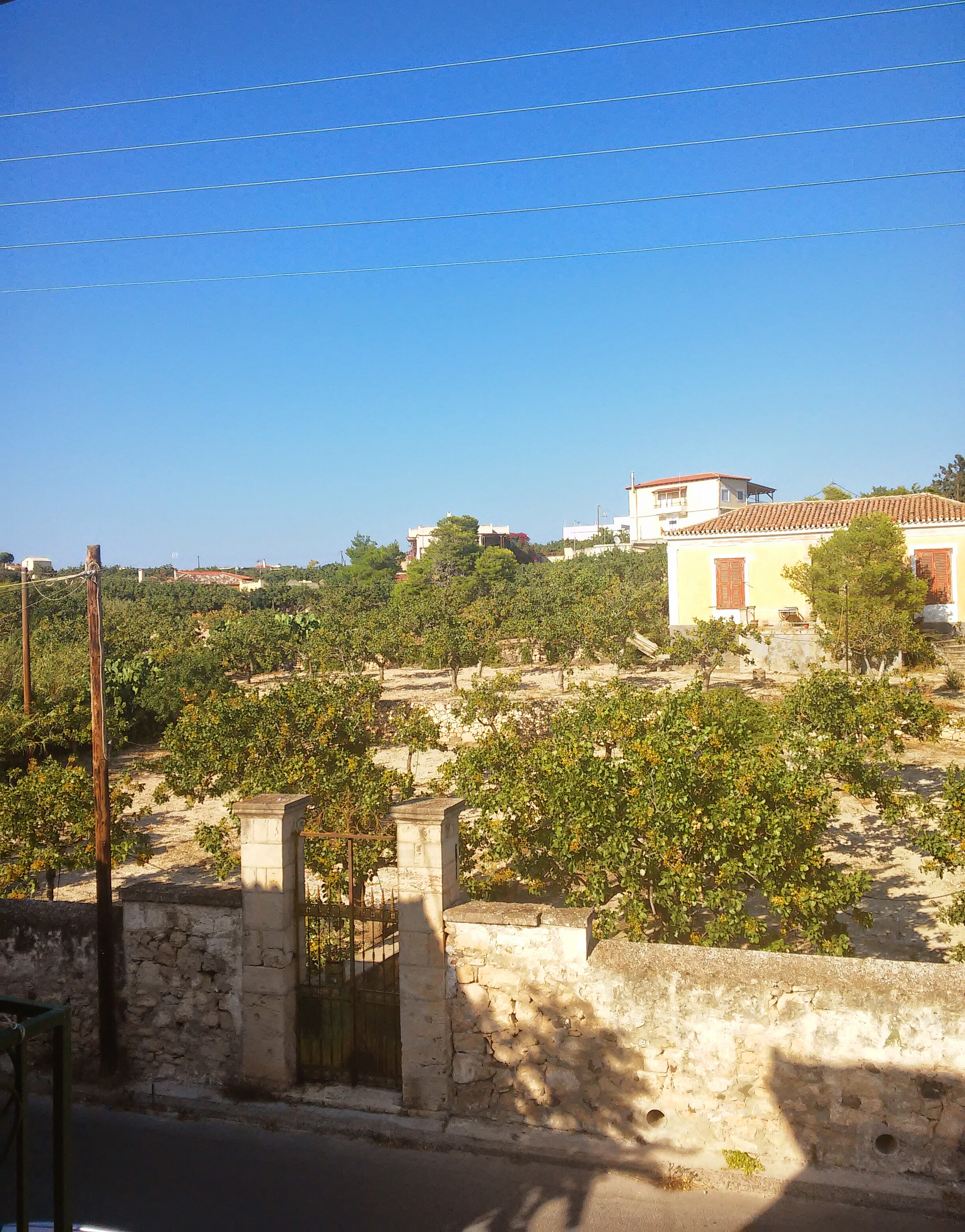 Hotel Aegina