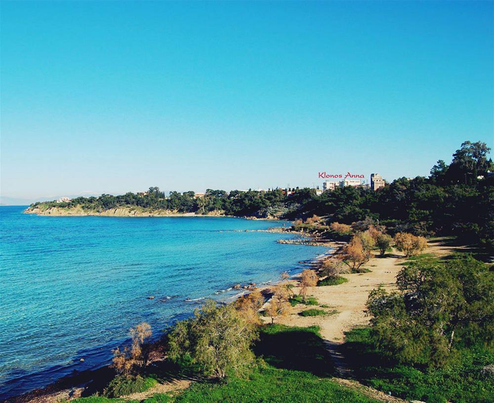 Klonos Anna