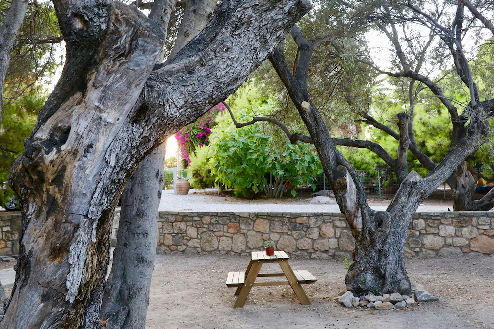 Pyrgos Ralli Estate Apartments & Suites