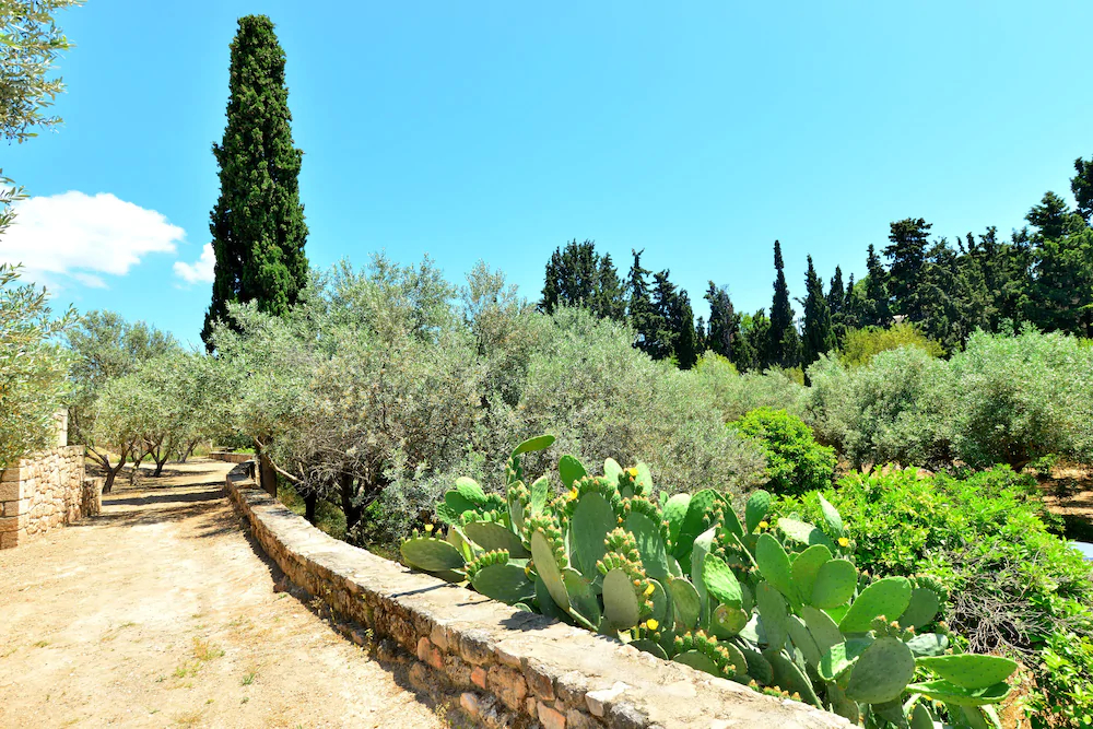 Pyrgos Ralli Estate Apartments & Suites