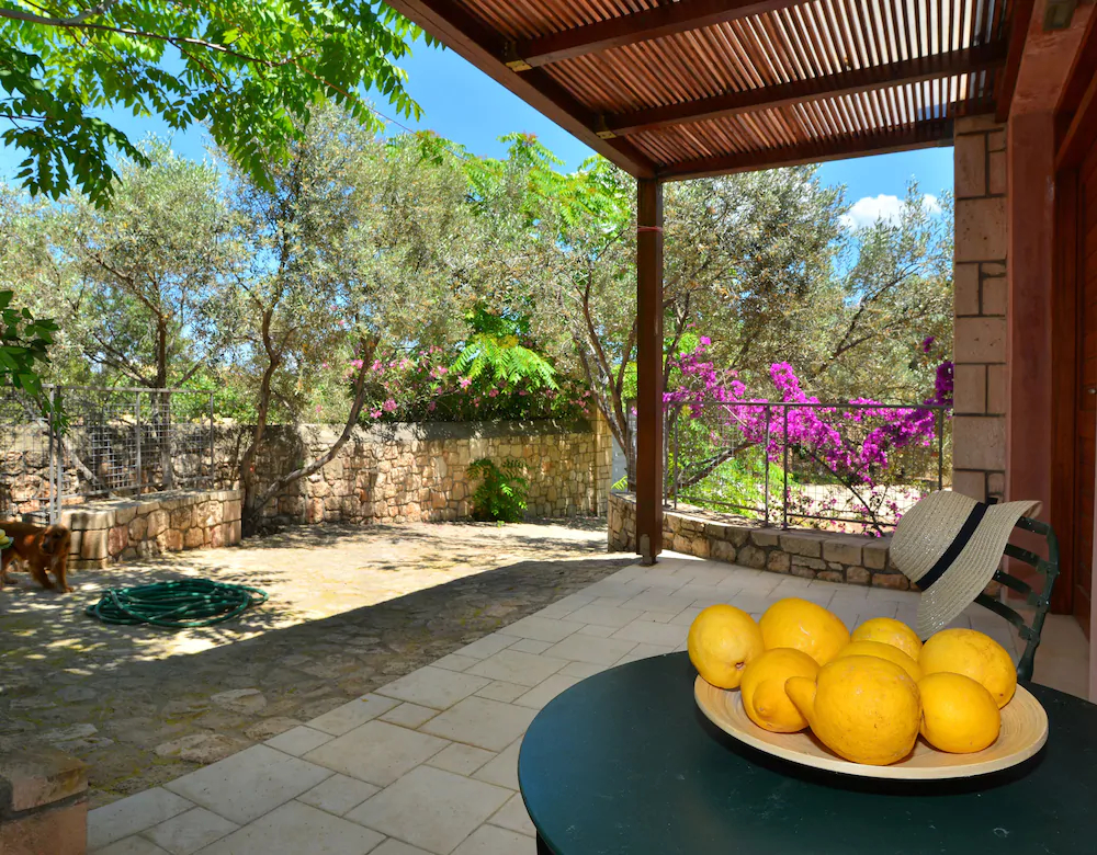 Pyrgos Ralli Estate Apartments & Suites