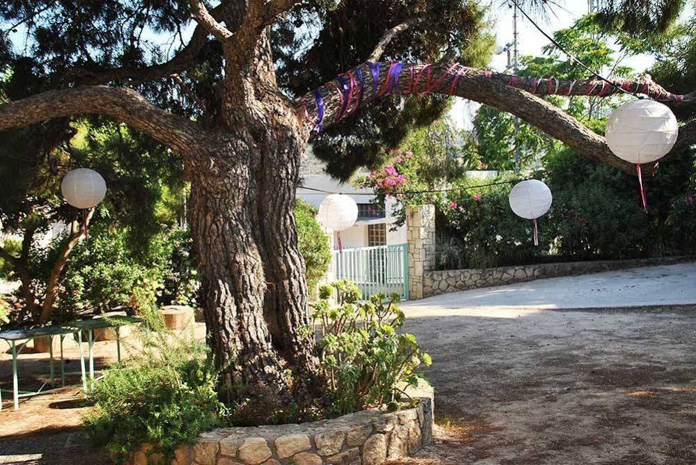 Aegina Houses