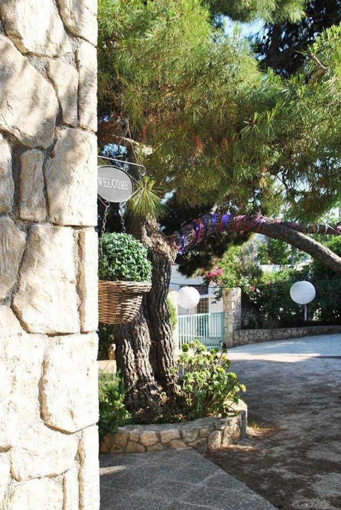 Aegina Houses