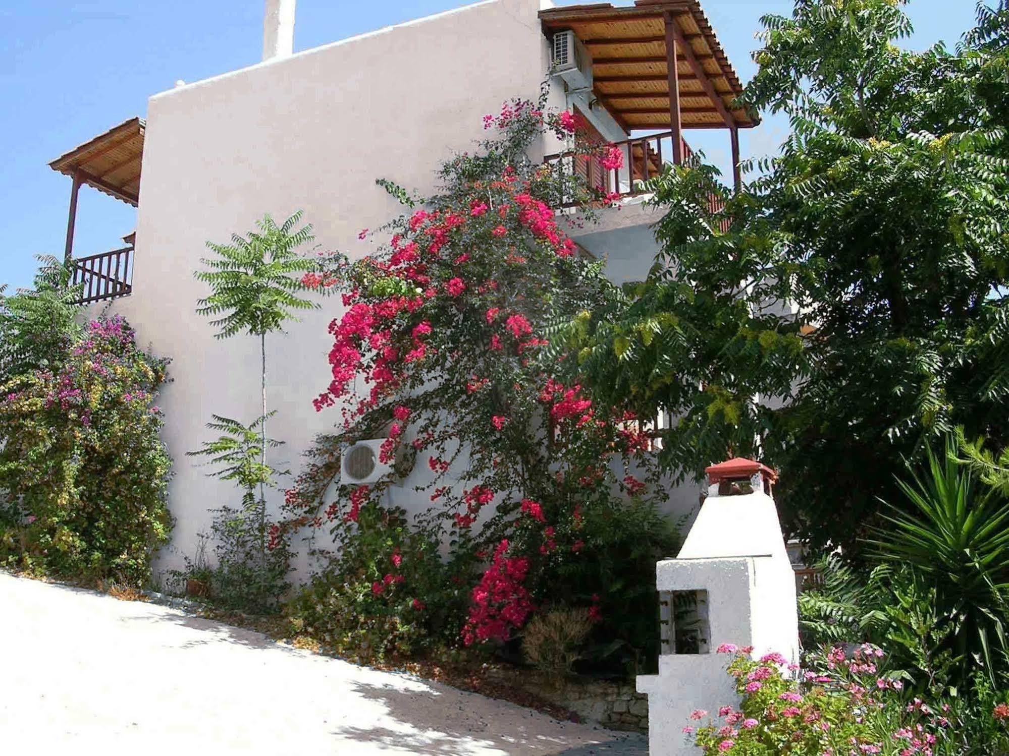 Aegina Houses