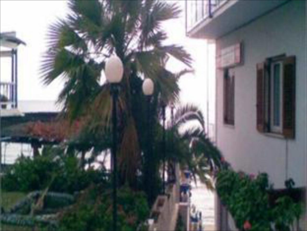 Hotel Oasis by Svetlana & Michalis