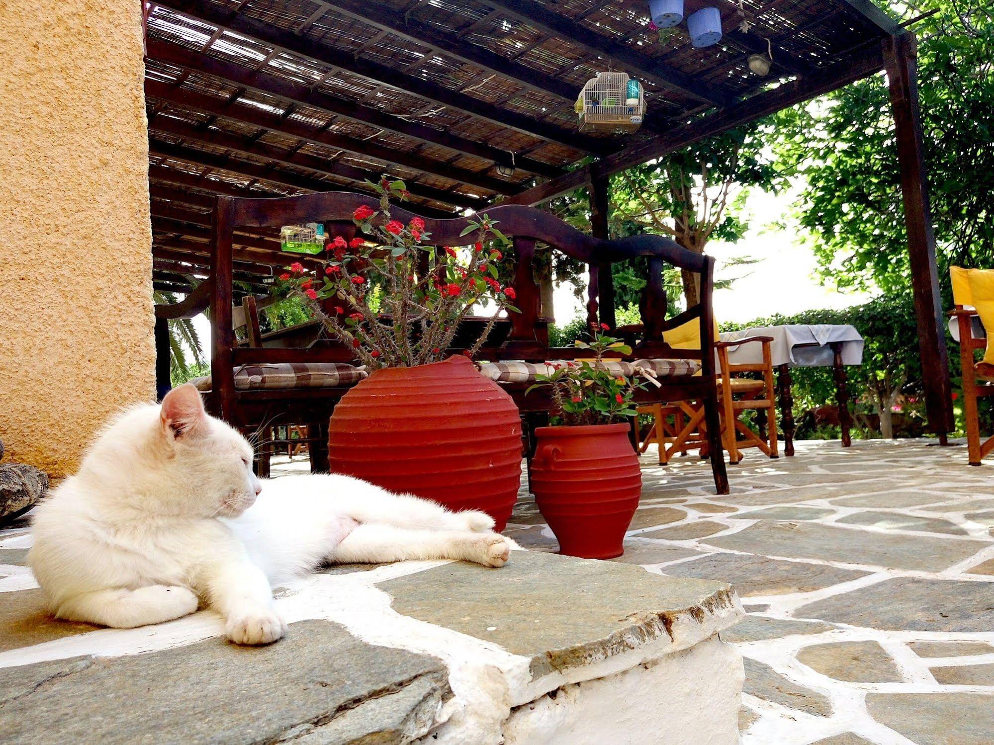 Vagia Hotel