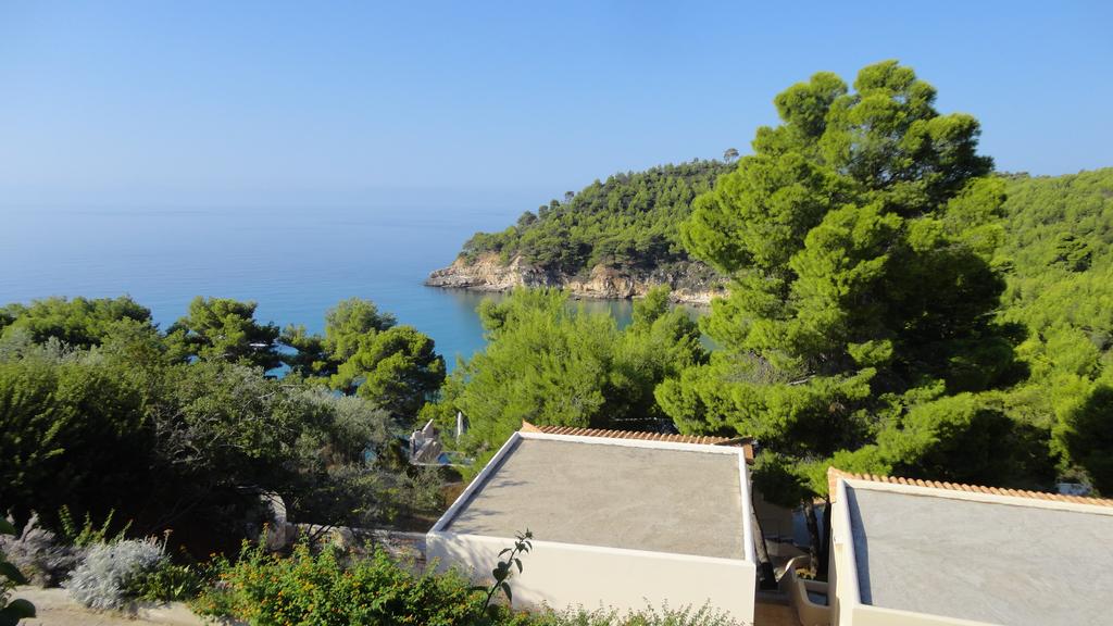 Alonissos Beach Bungalows & Suites Hotel
