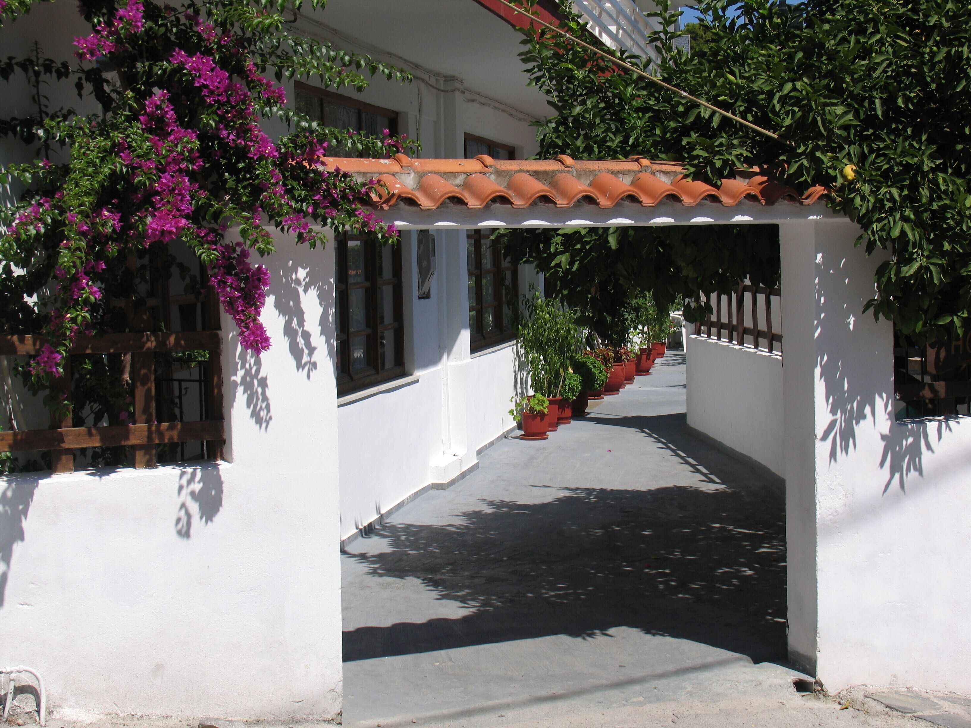 Julieta's House